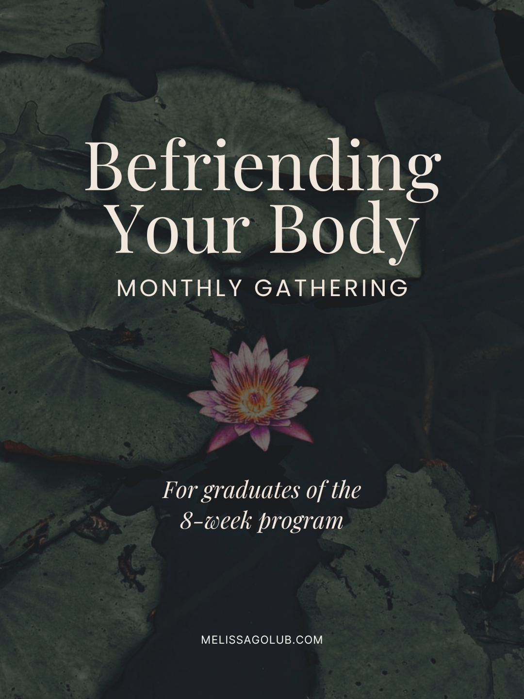 Befriending Your Body Monthly Gathering