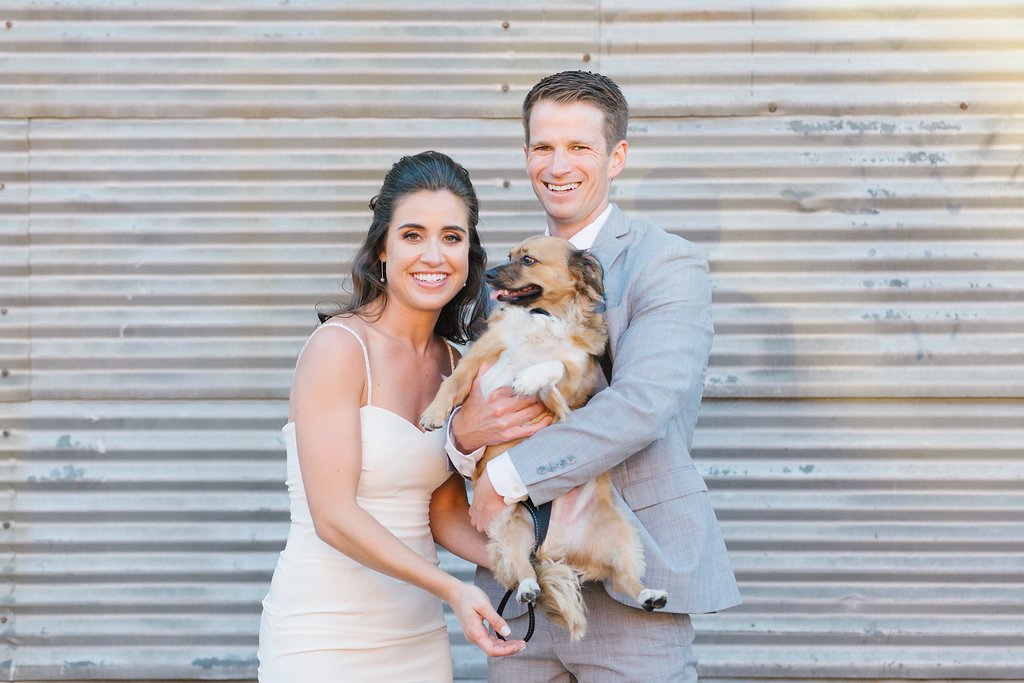 bride groom dog.jpg