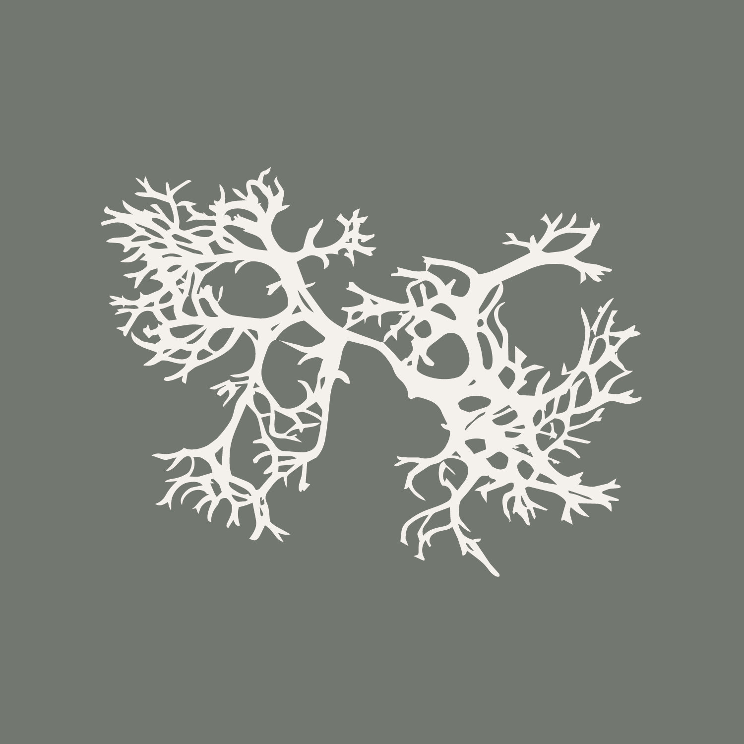 Artboard 1SF_OM_Parchment_Illustration_Gray_Background.png