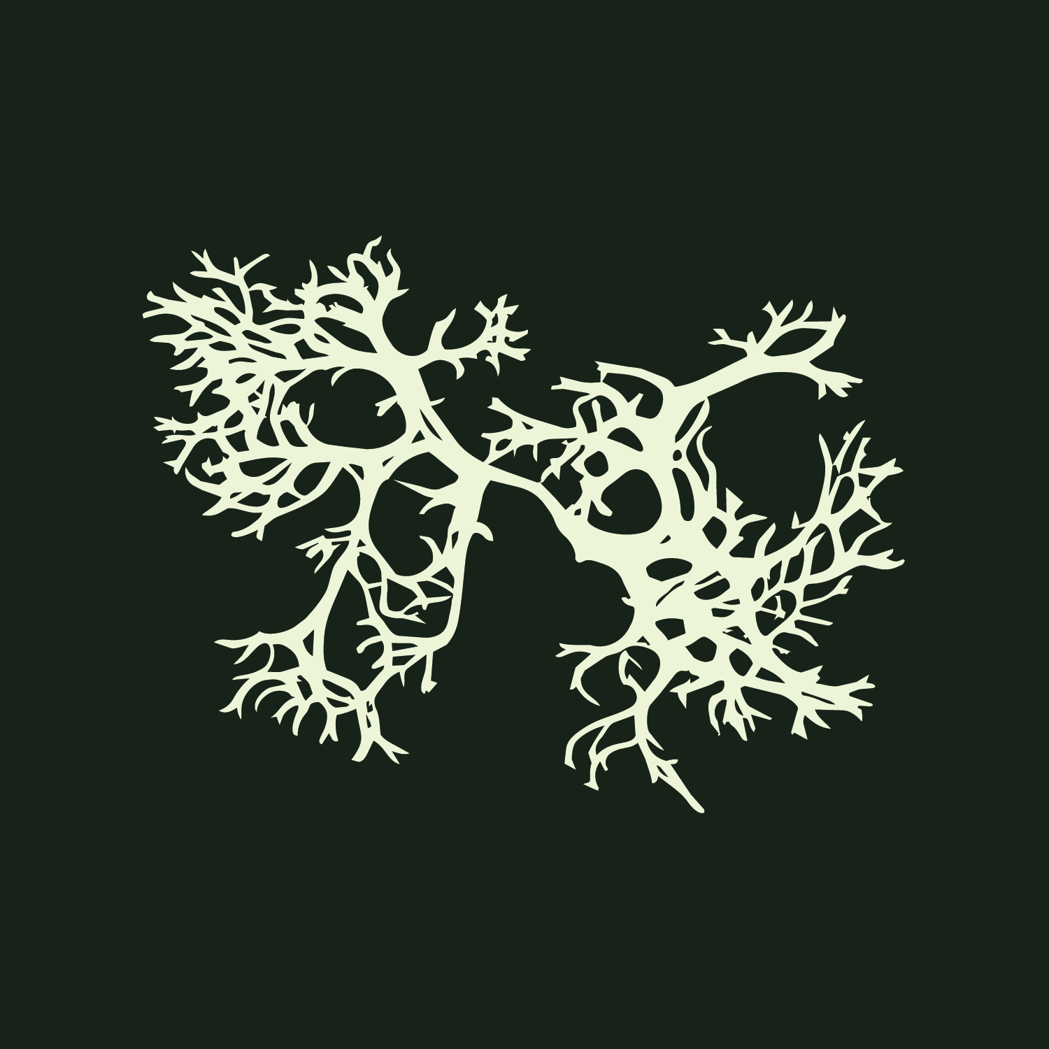 Artboard 1SF_OM_FrostedMint_Illustration_Evergreen_Background.png