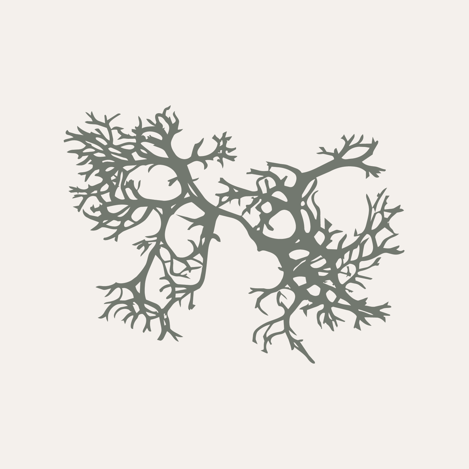 Artboard 1SF_OM_Gray_Illustration_Parchment_Background.png