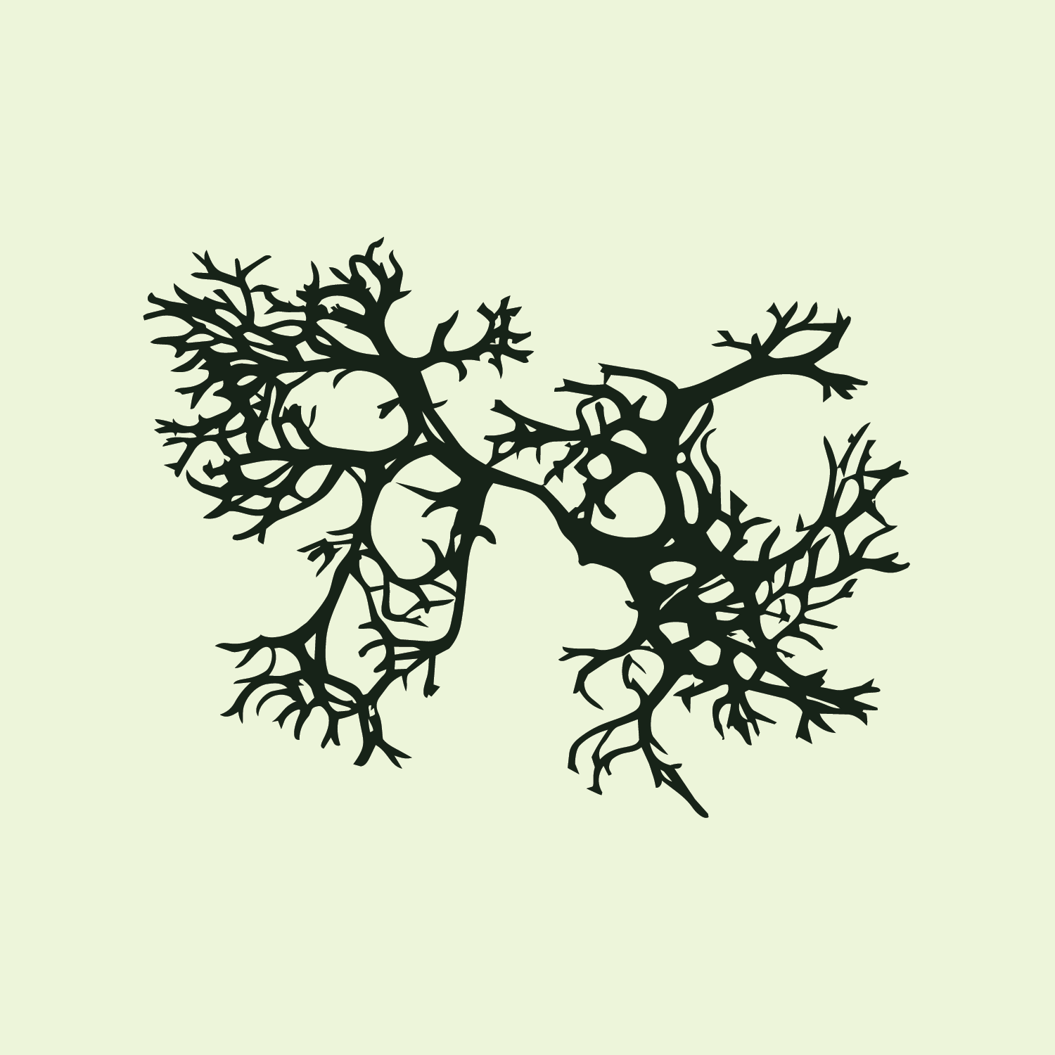 Artboard 1SF_OM_Evergreen_Illustration_FrostedMint_Background.png