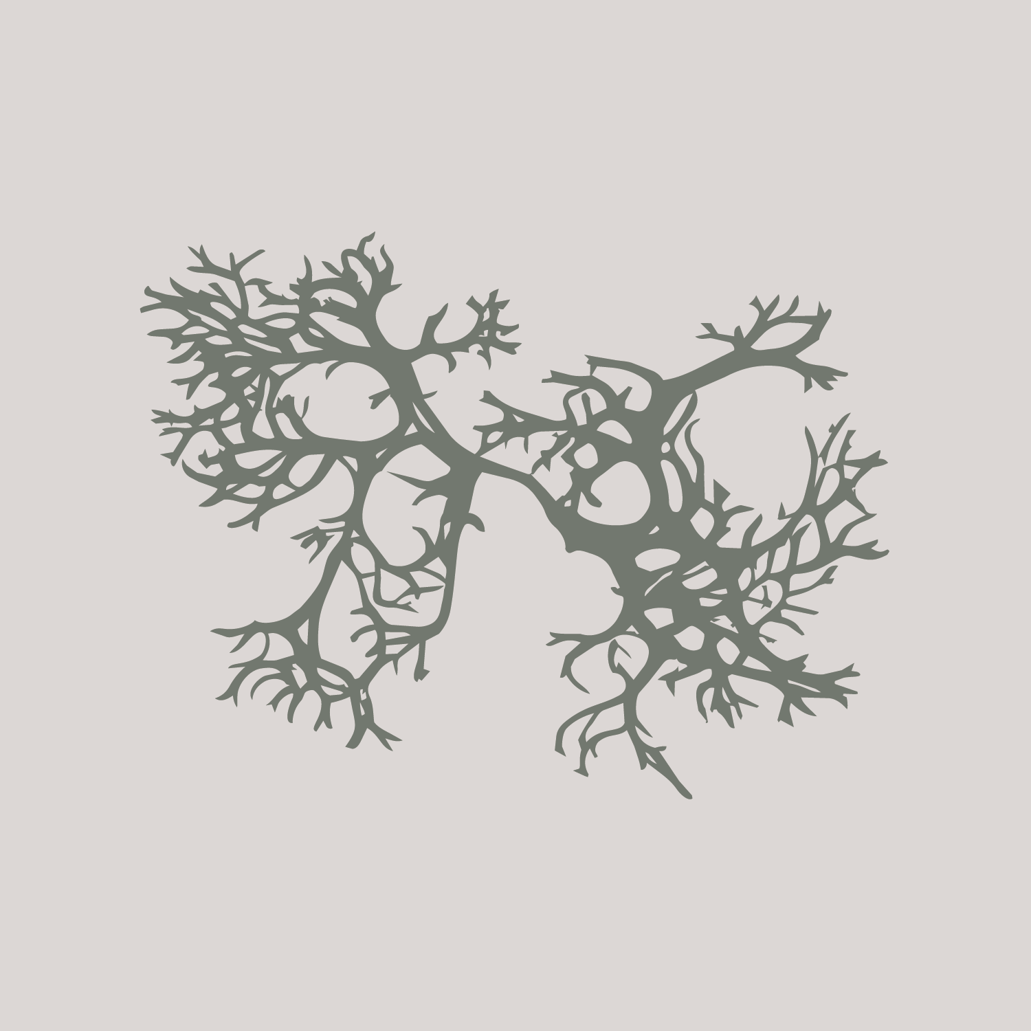 Artboard 1SF_OM_Gray_Illustration_DustGrey_Background.png