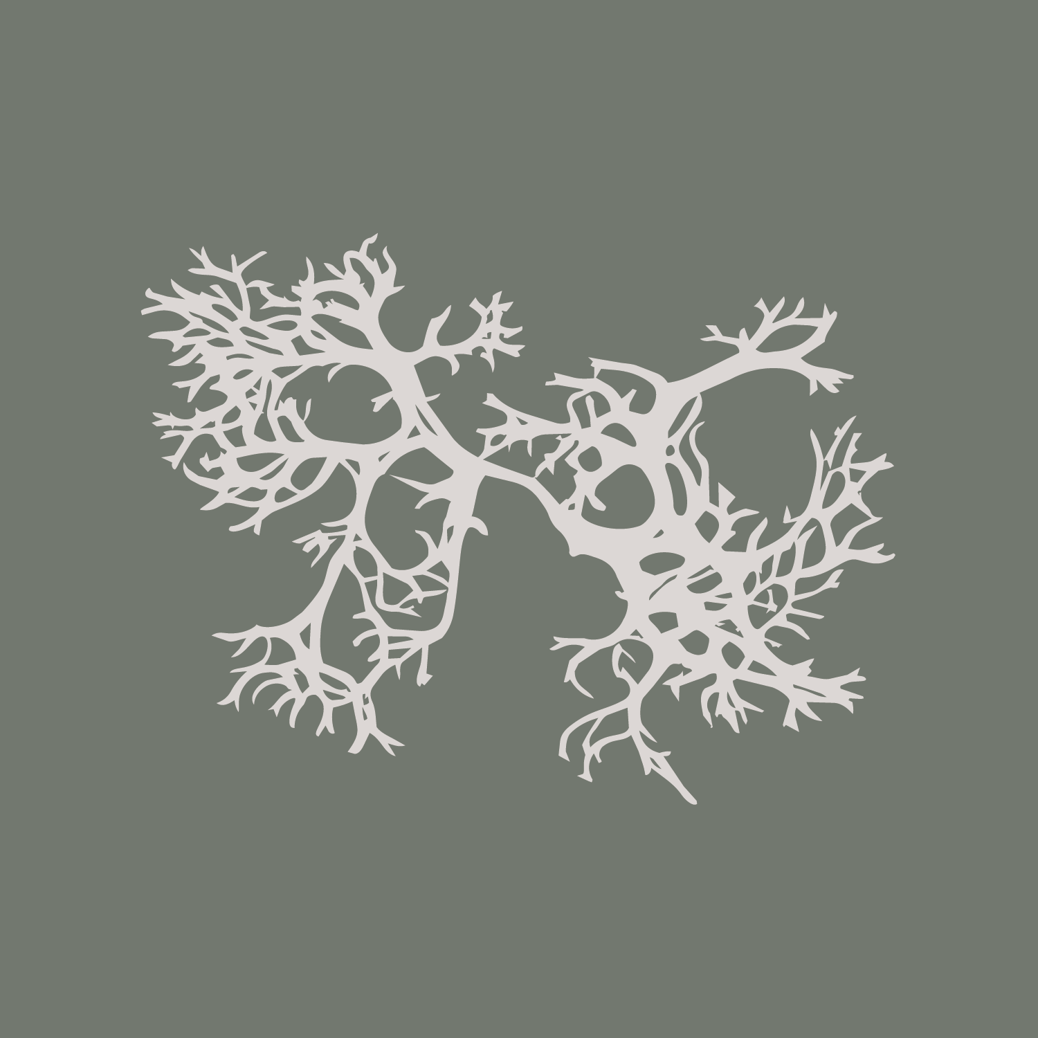 Artboard 1SF_OM_DustGrey_Illustration_Grey_Background.png