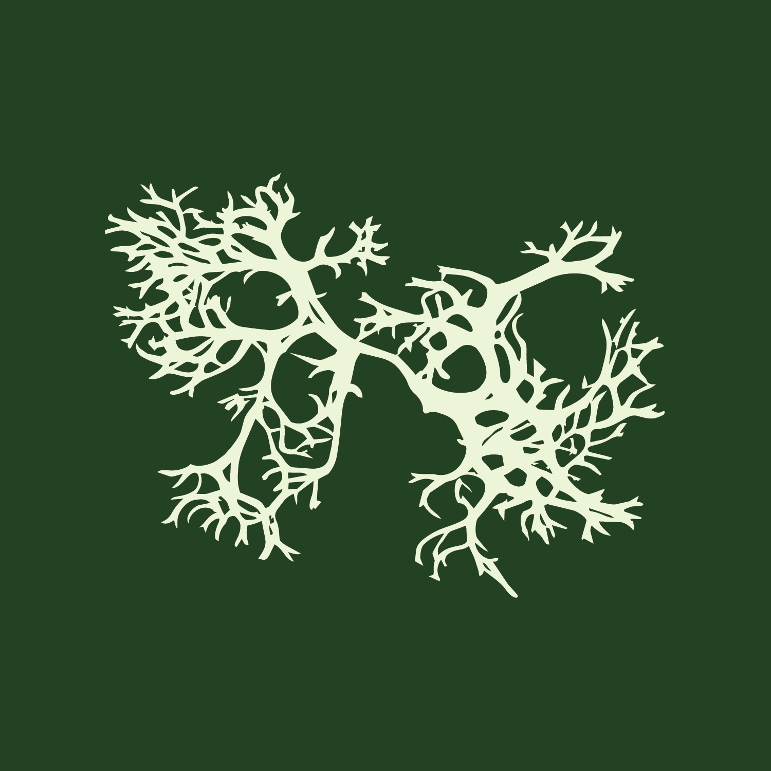 Artboard 1SF_OM_FrostedMint_Illustration_DarkSpruce_Background.png