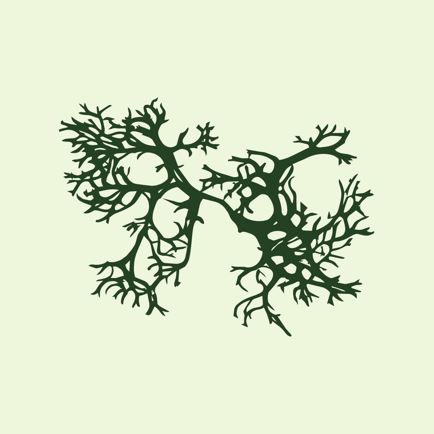 Artboard 1SF_OM_DarkSpruce_Illustration_FrostedMint_Background.png