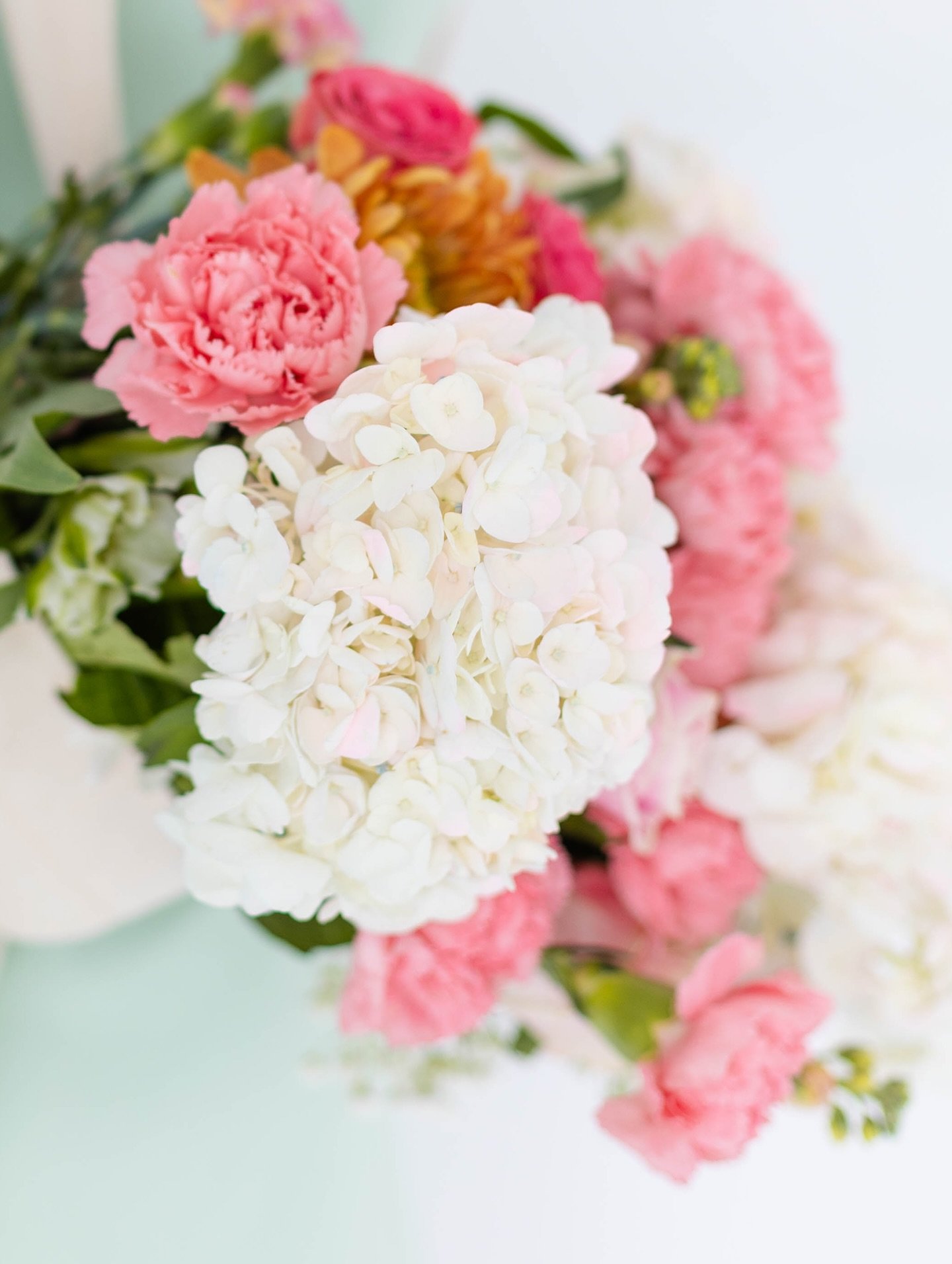 A tribute to one of my dearest clients and flowers in honor of her. 🤍

My heart is heavy. Emotions come and go in waves. No one prepares you for the moment you learn that a long-time client has passed away. We spent 136 hours together. That is a lot