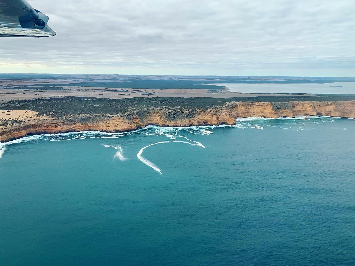 Our pristine coastline from the air ✈️

#scenicflight #travel #satourism #southaustralia #eyrepeninsula #portlincoln