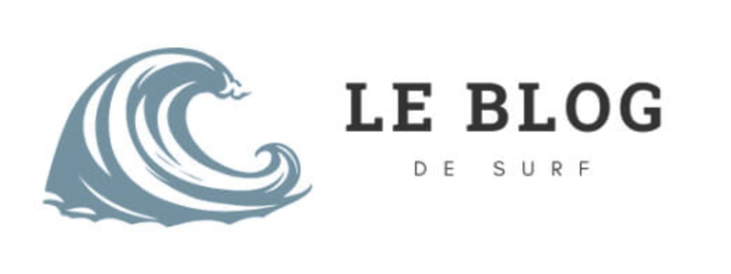 LE BLOG DE SURF.JPG