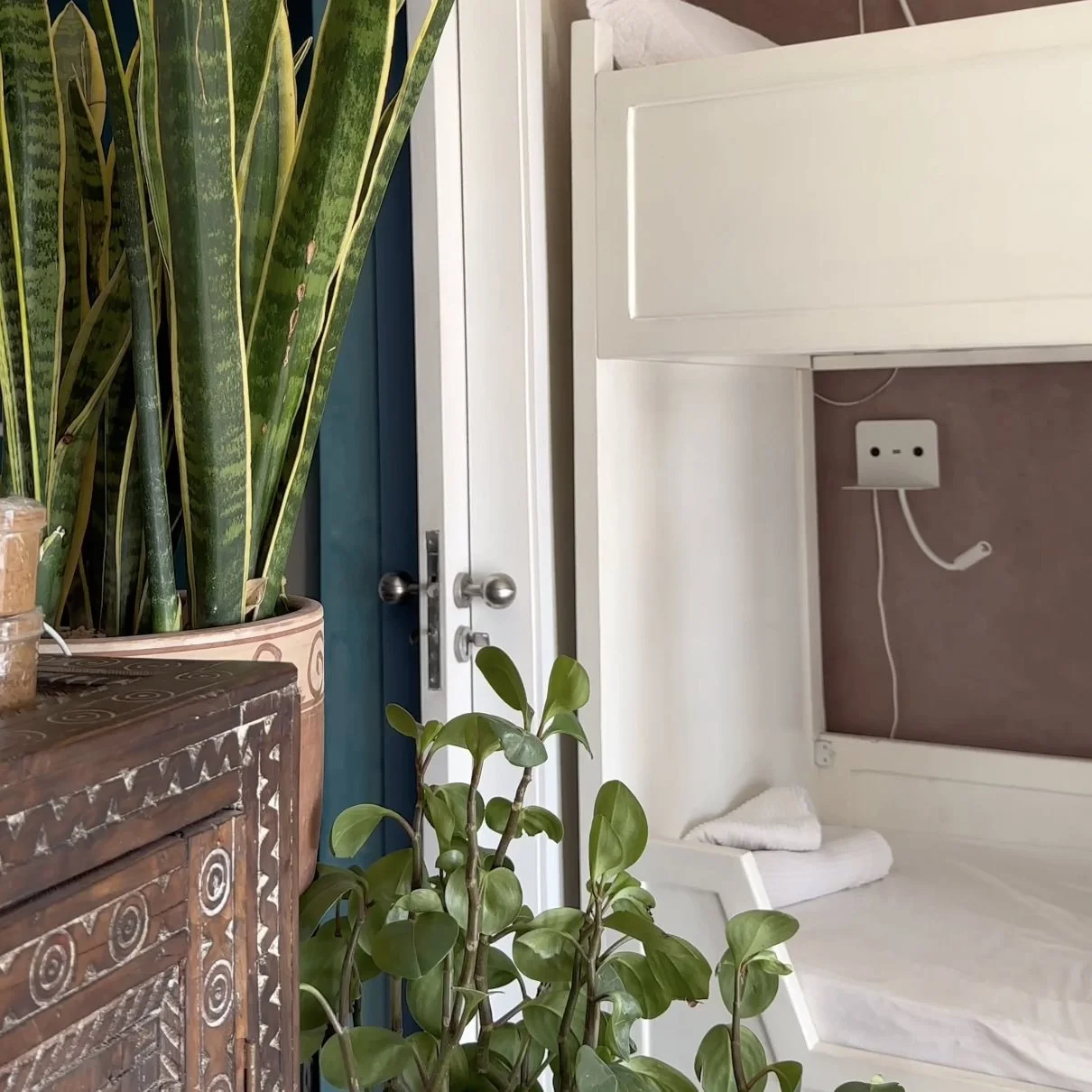 DORM SURF HOUSE.jpeg