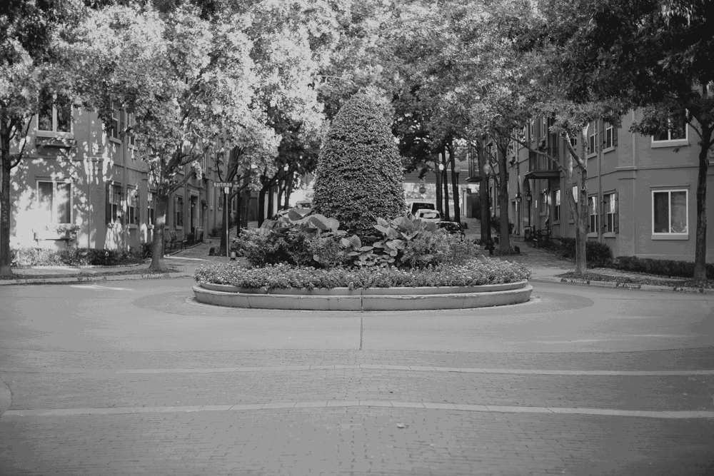 unique wedding photographer dallas tx.gif