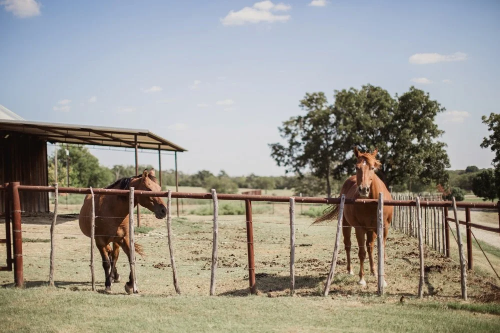 dallas wedding photographer 001.jpg