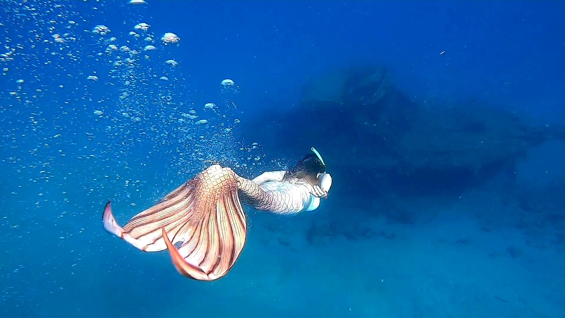 A woman scuba diving underwater with a fish that has large, colorful fins swimming next to her.