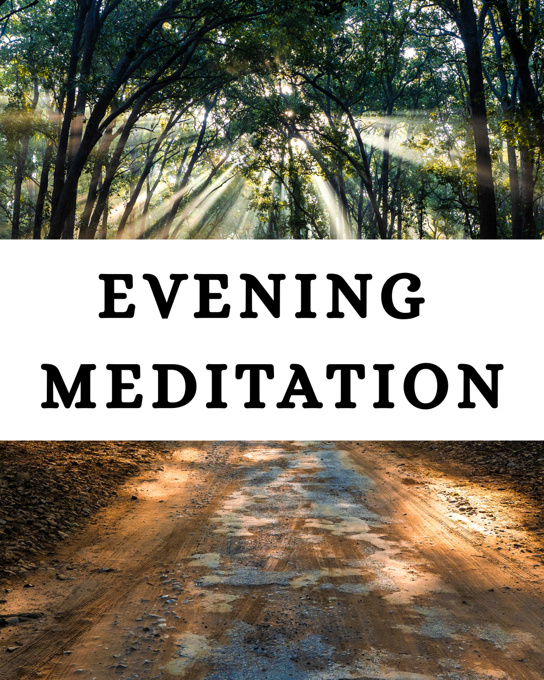 Evening Meditation.png