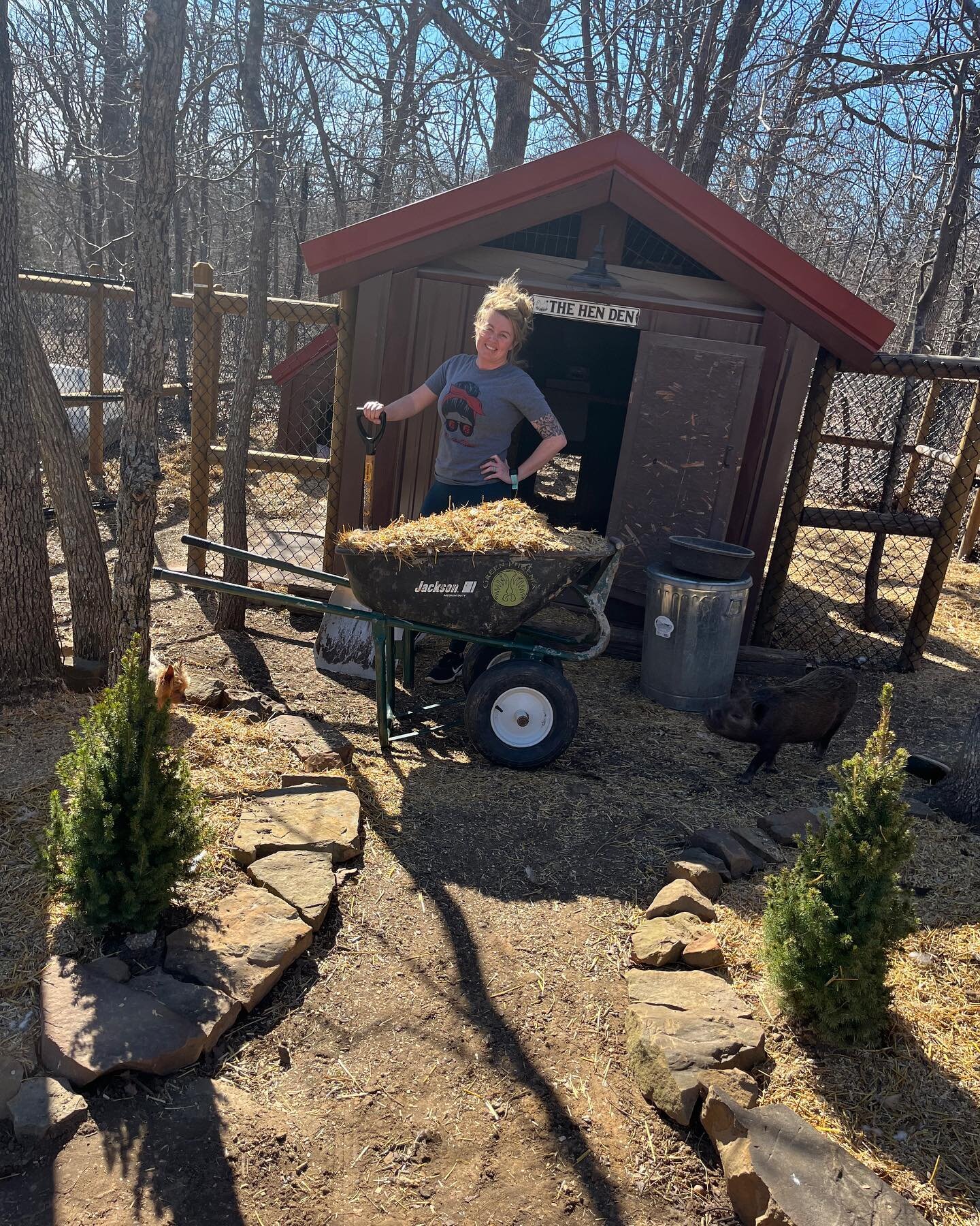 Today we a beautiful day for farm chores! The hen den got a spring clean out, we cleared out some trees, added to our compost pile, made some new flower beds, and soaked up some good ole vitamin d. #farmlife #chores #muffinthepig #chickens #thehenden