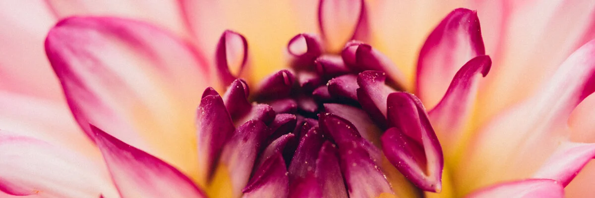 Leaders of Inspiration - Molly Scott