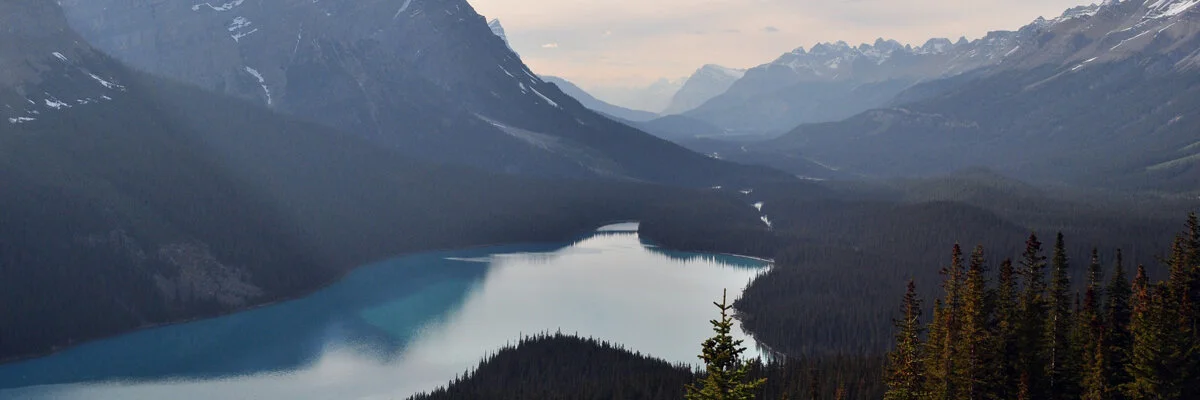 The Art & Science of Breathing Physiological & Emotional Connectivity through Breath