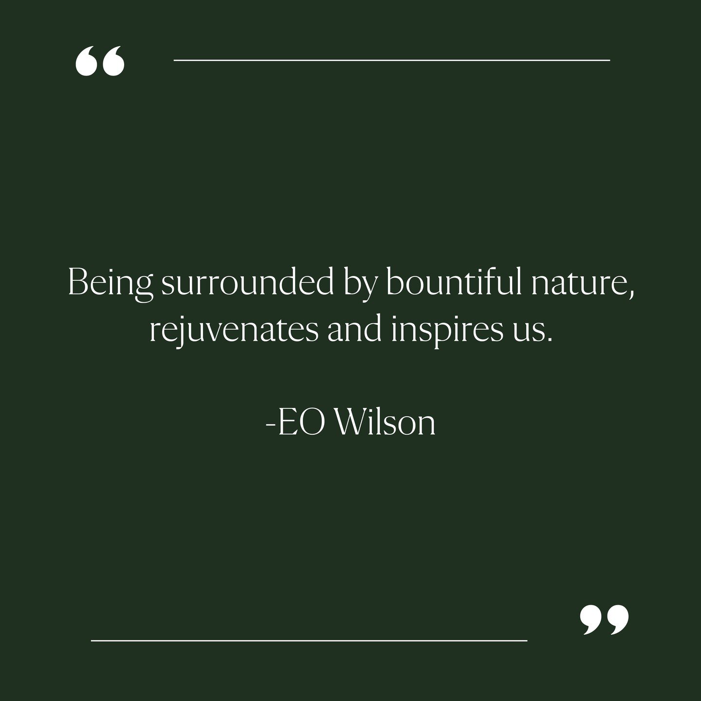 // BIOPHILIC DESIGN //

Biophilic design helps to restore our relationships with the living world. In a society where we are increasingly disconnected from nature, these design principles can support and restore human health and well-being. 

At Core