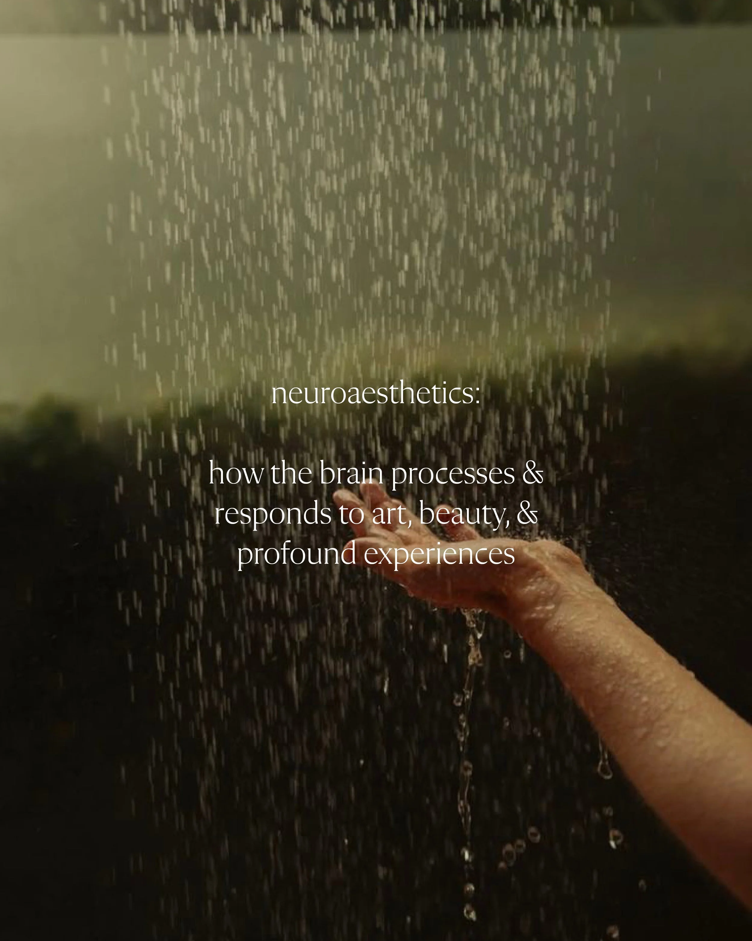 Neuroaesthetics in Wellness Hospitality