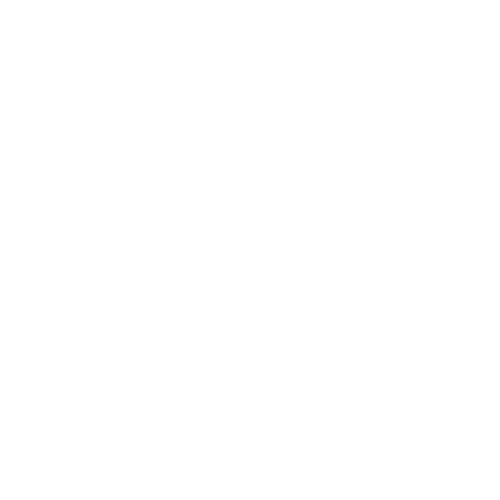 Community and Connection