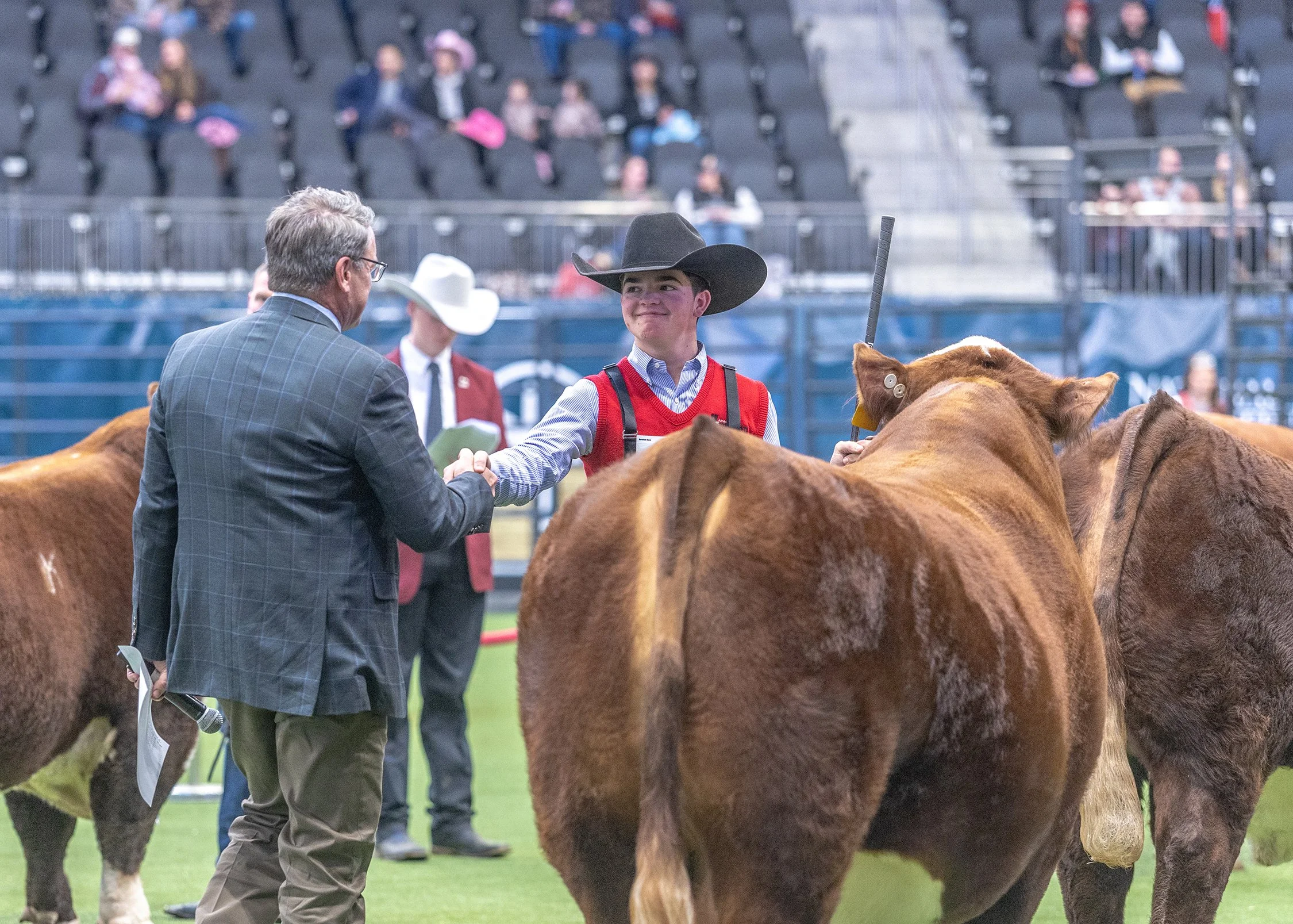 C SHR 2111 Tohono 4130 - Reserve Champion Polled Hereford Bull, 2026 NWSS
