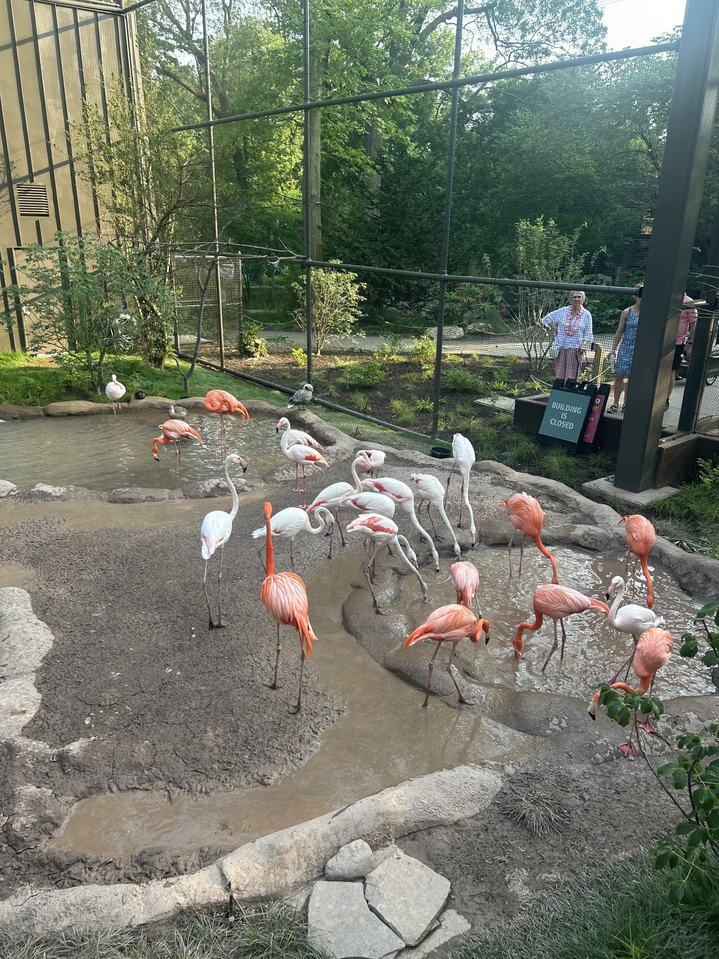 IMG_2800 (1).JPEG