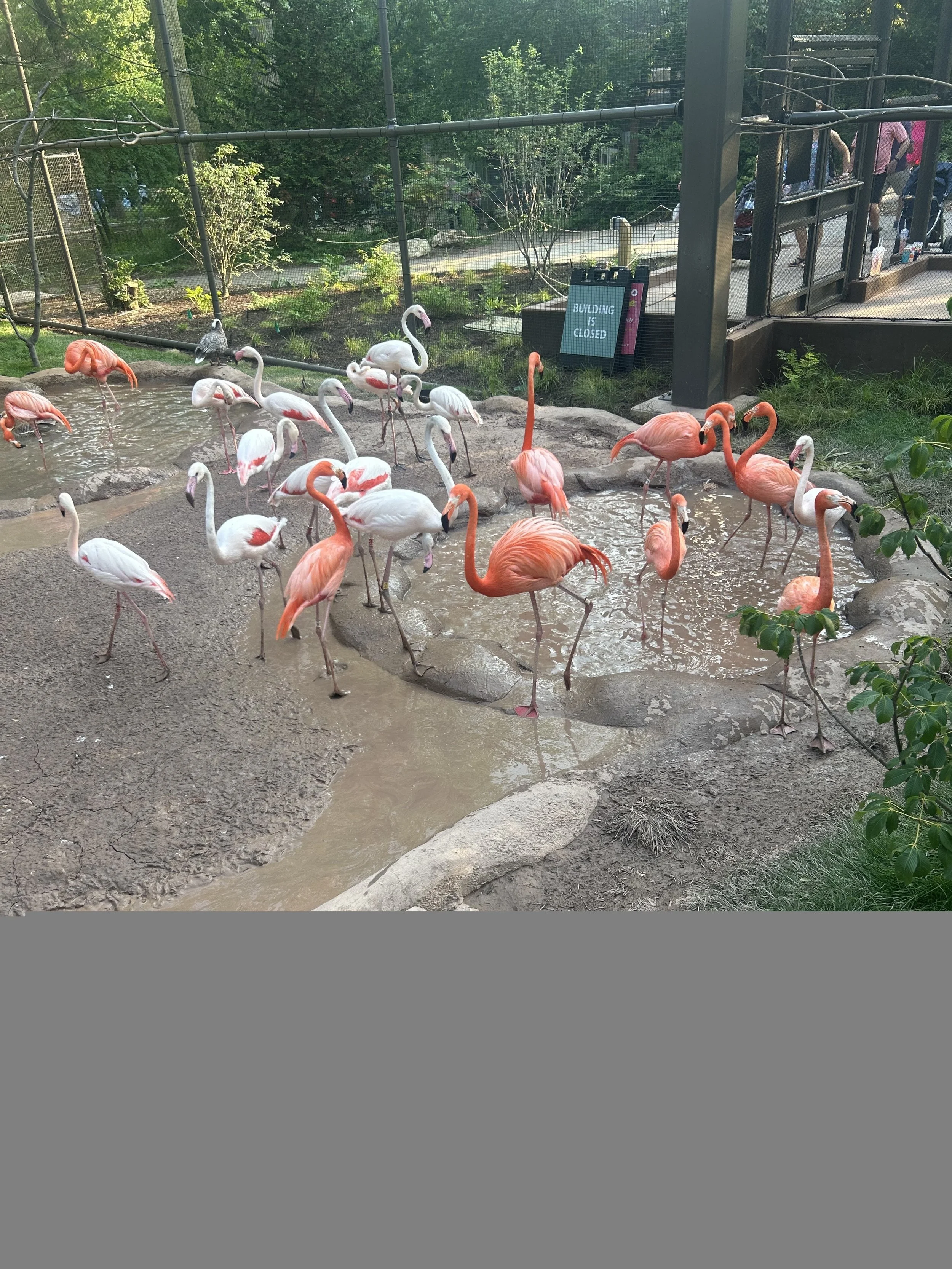 IMG_2799 (1).JPEG