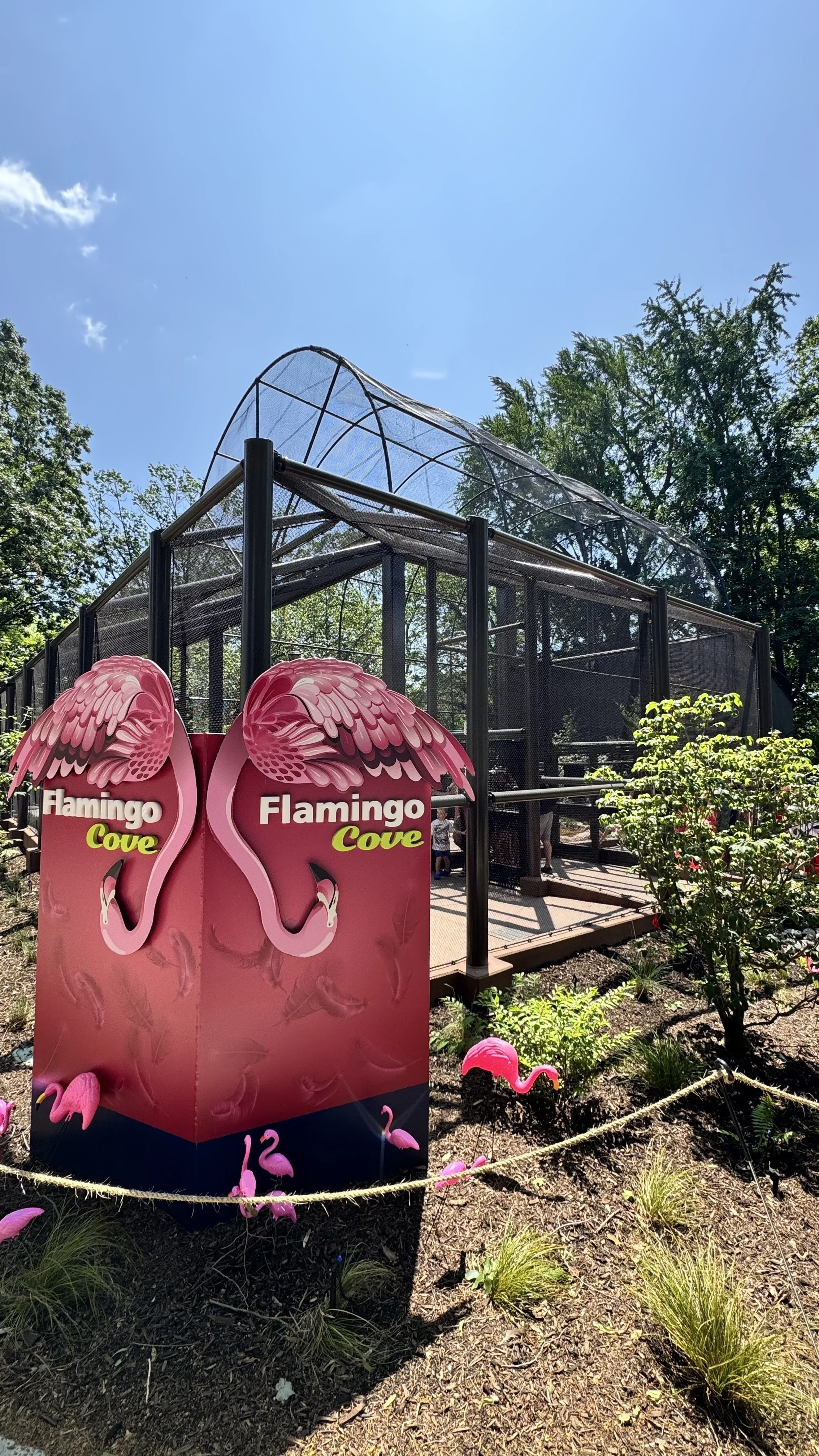 Let’s Flamin-GO! Flamingo Cove at the Philly Zoo is now OPEN!