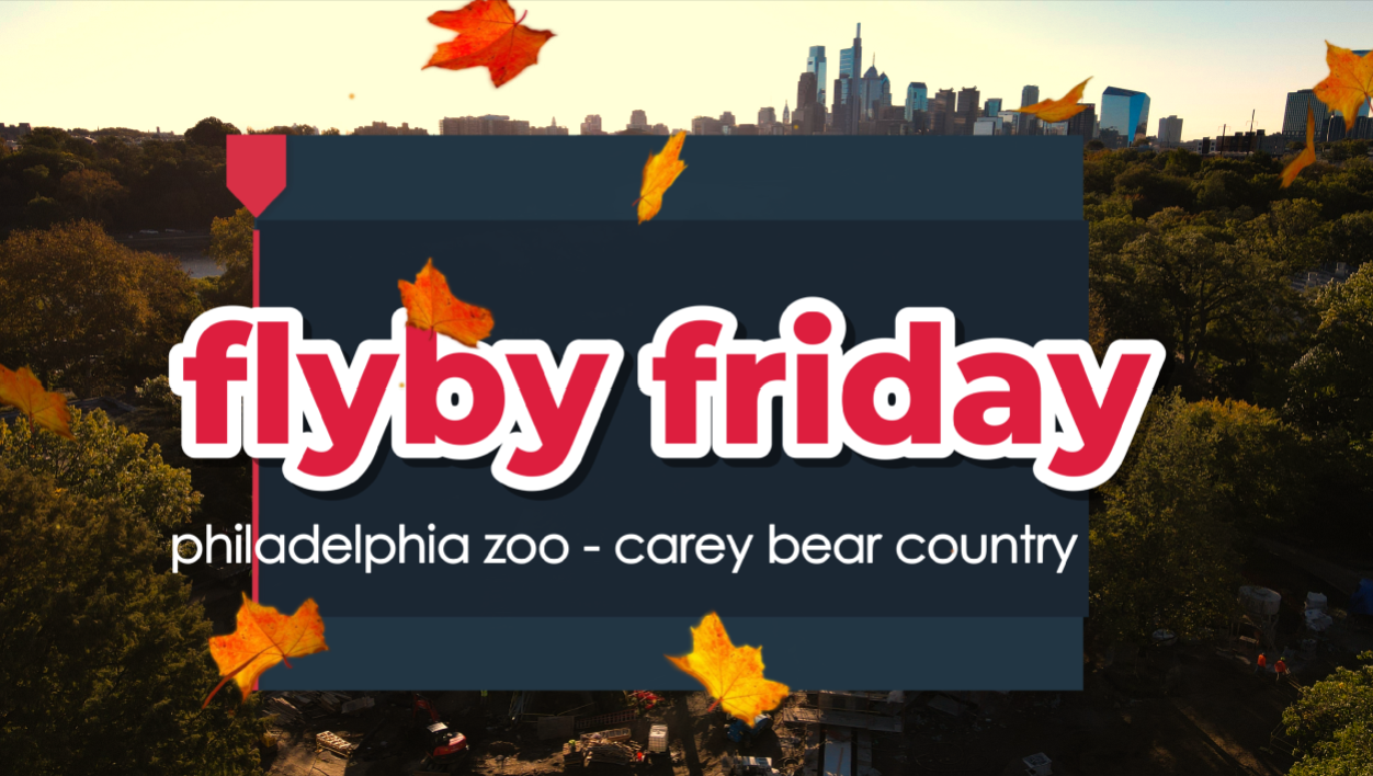 Golden-Hour Flyby Friday at Philadelphia Zoo!