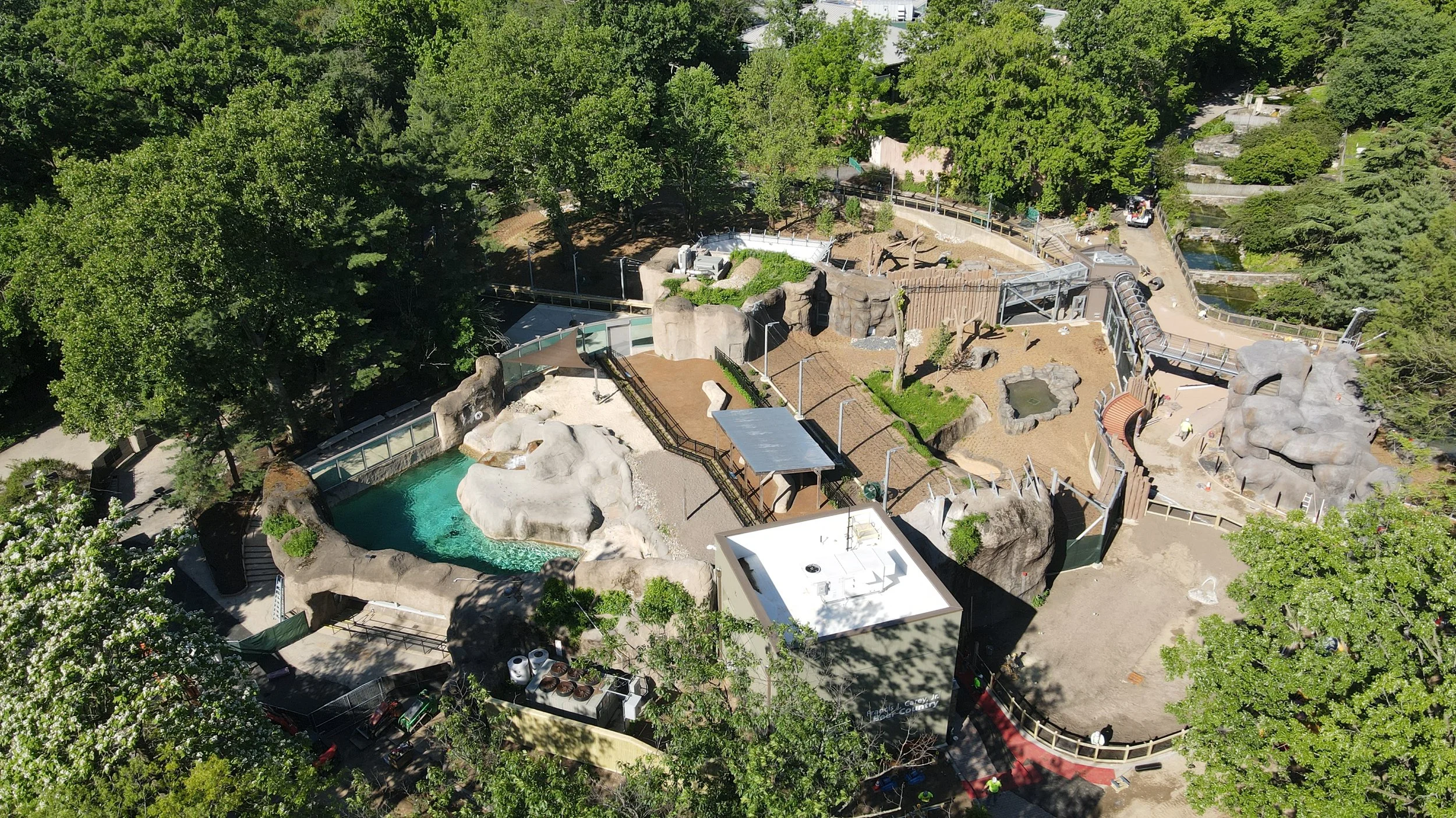 Philadelphia Zoo Bear Country shows only progress, no hibernation here!