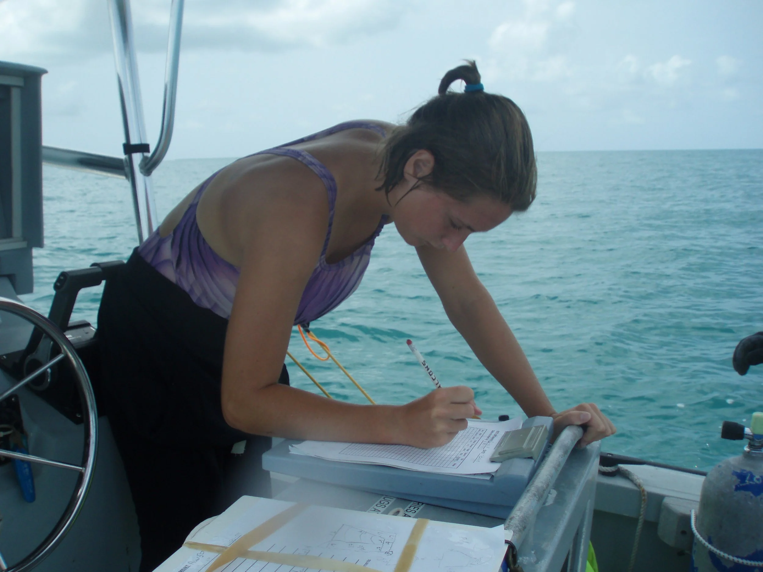 Recording data from underwater surveys