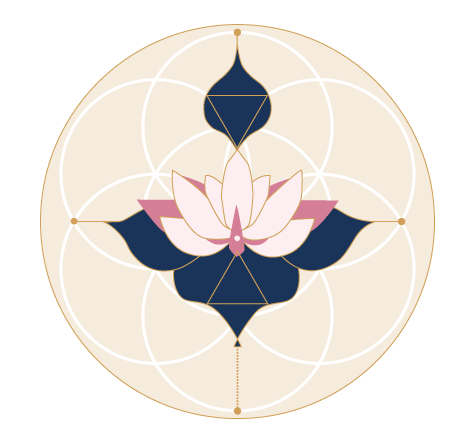 Self-Evolution Courses to Change Your Life