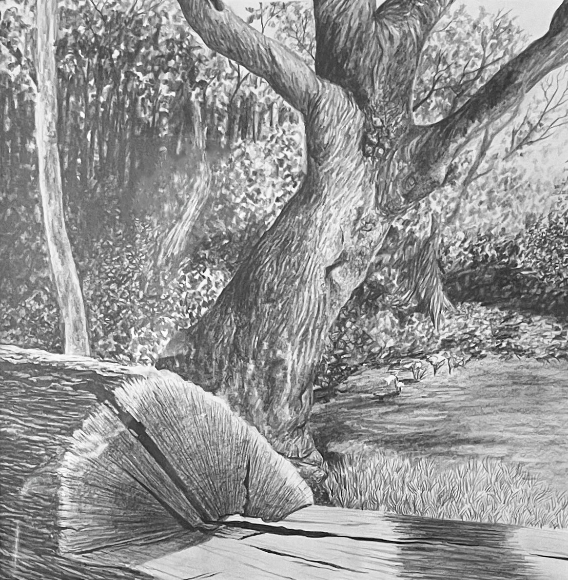 Passing Through III
Graphite on paper
12'' x 12''