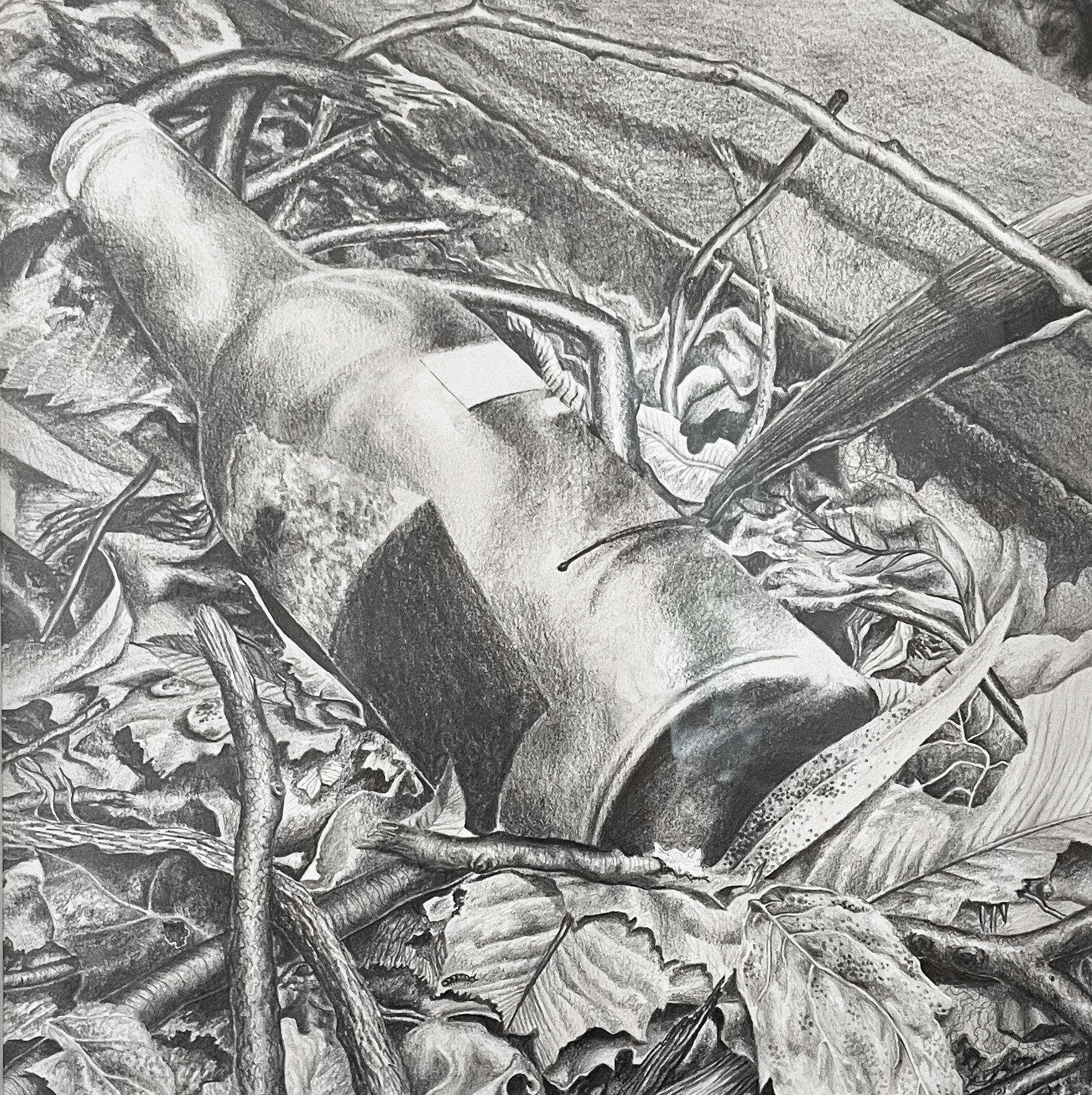 Passing Through II
Graphite on paper
12'' x 12''