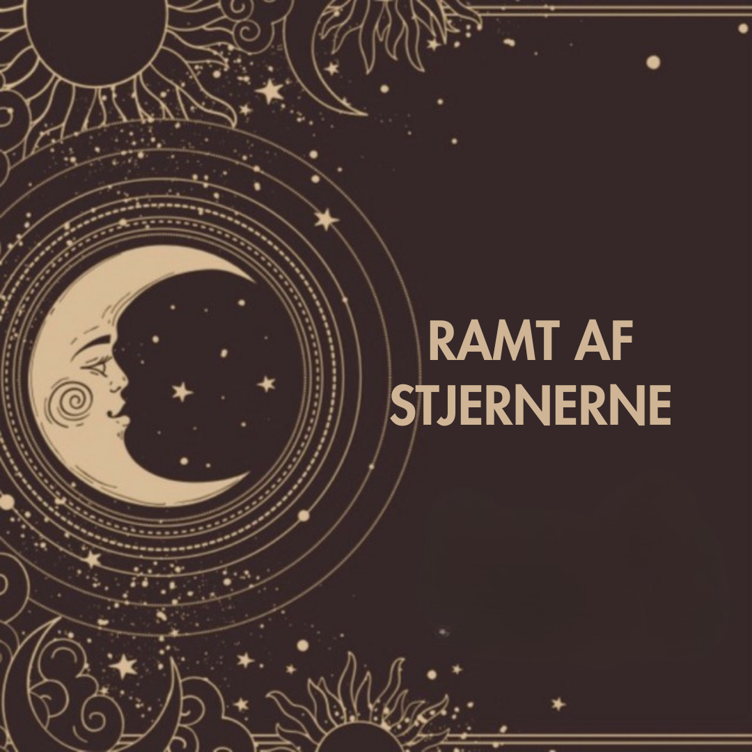 Hjemmesidedesign & Nyhedsbreve