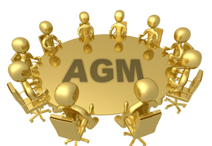 Annual General Meeting