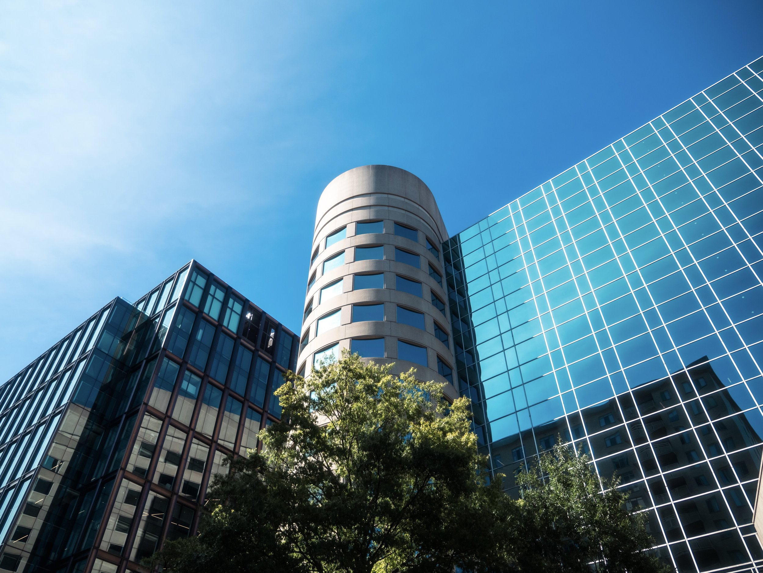 A modern high-rise office building with a curved section, large glass windows, and a grid-like facade against a blue sky, with green trees at the bottom.