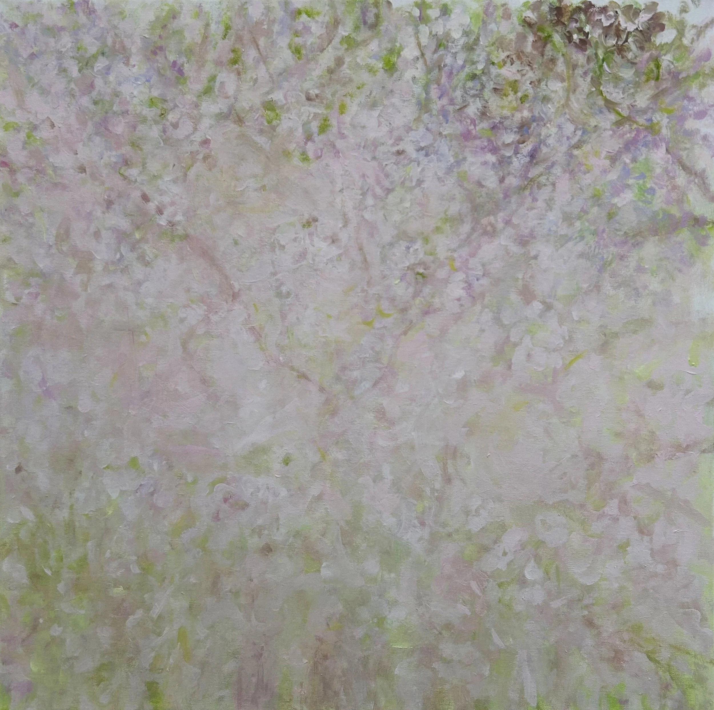  Cherry Blossoms 4 , 2026, Oil on Linen, 20"x20"