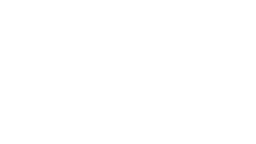 tds logo.png