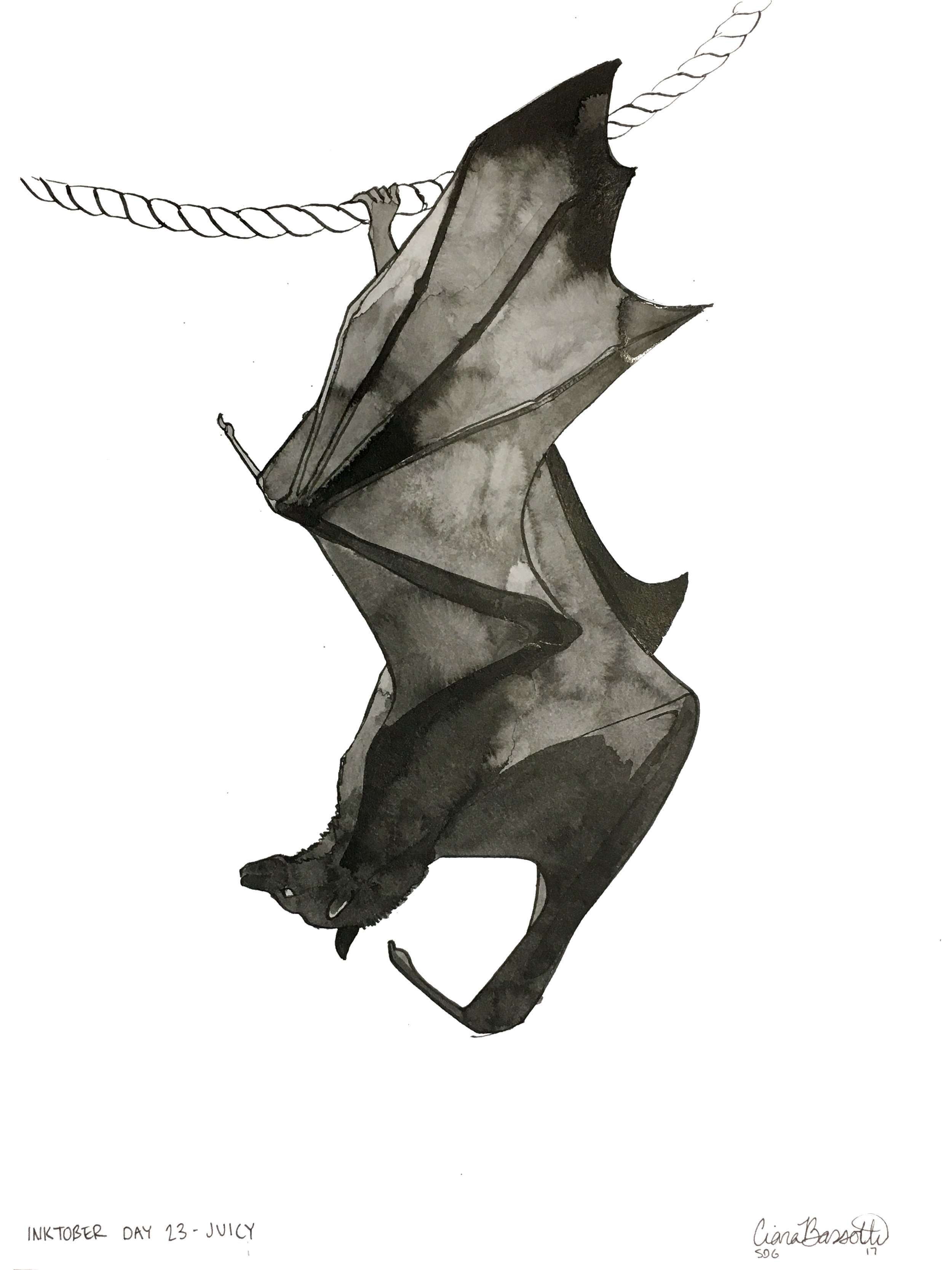Day 23 Juicy.jpg