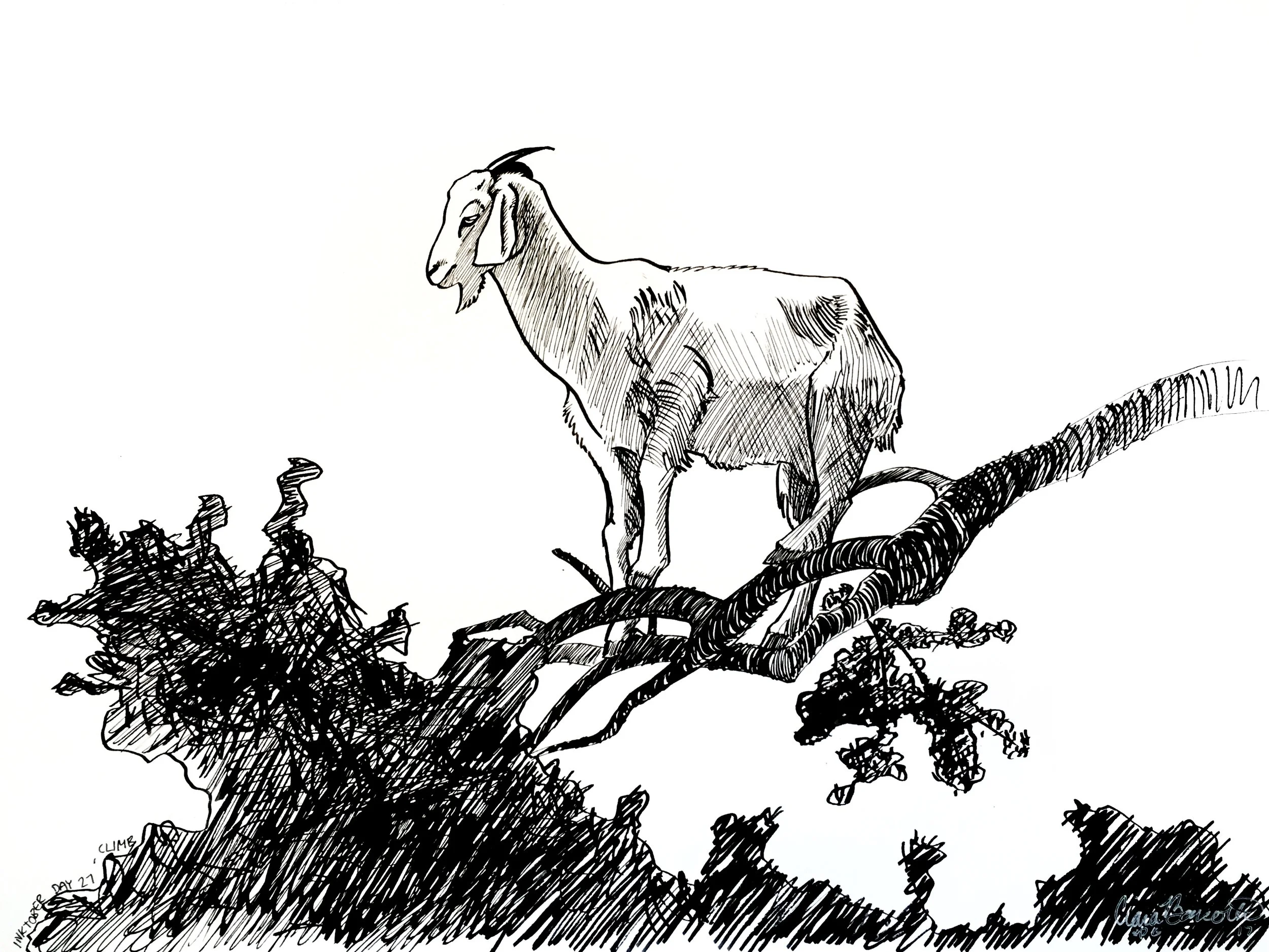 Day 27 Climb.jpg