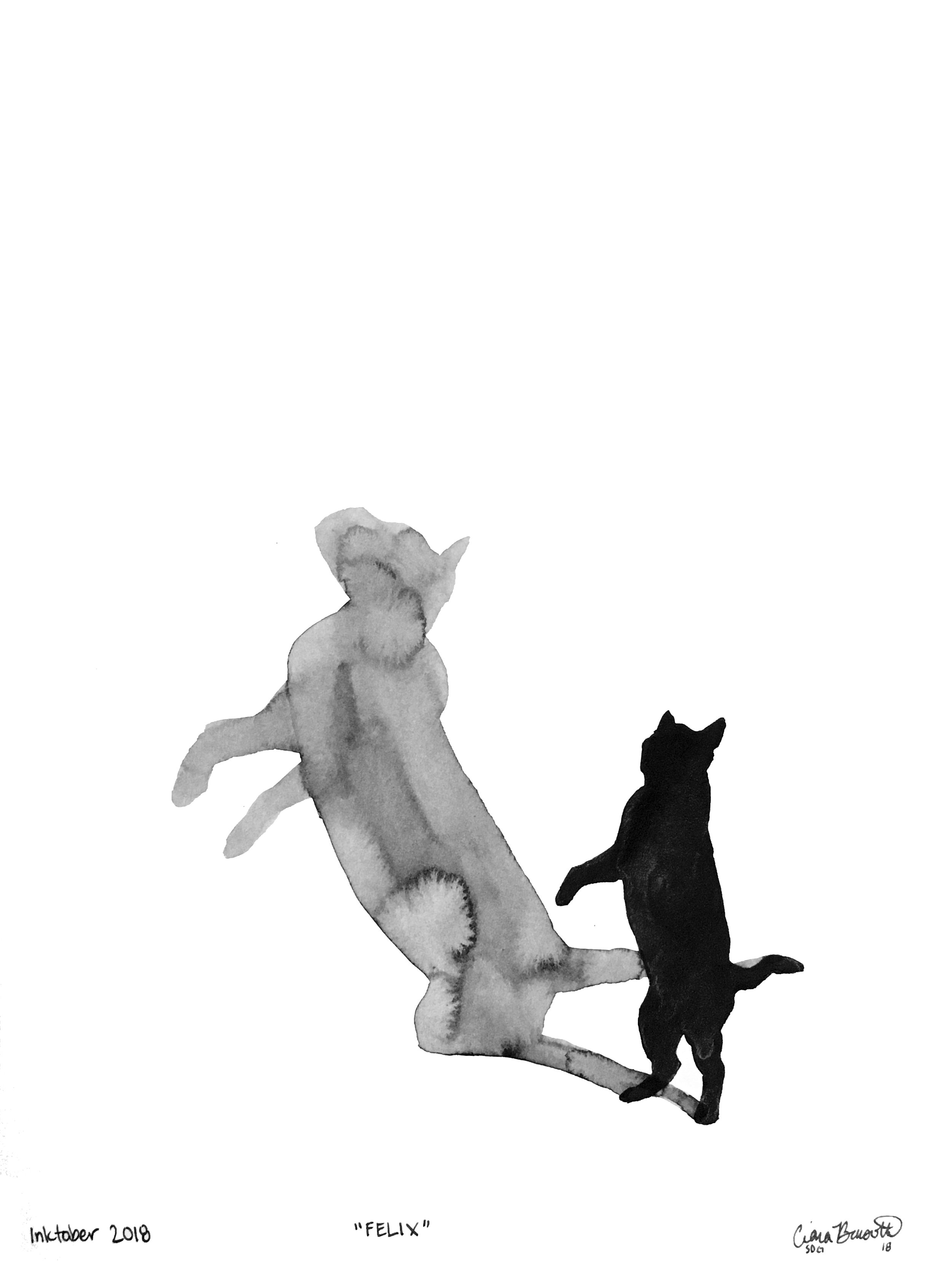 Day18-Felix.jpg