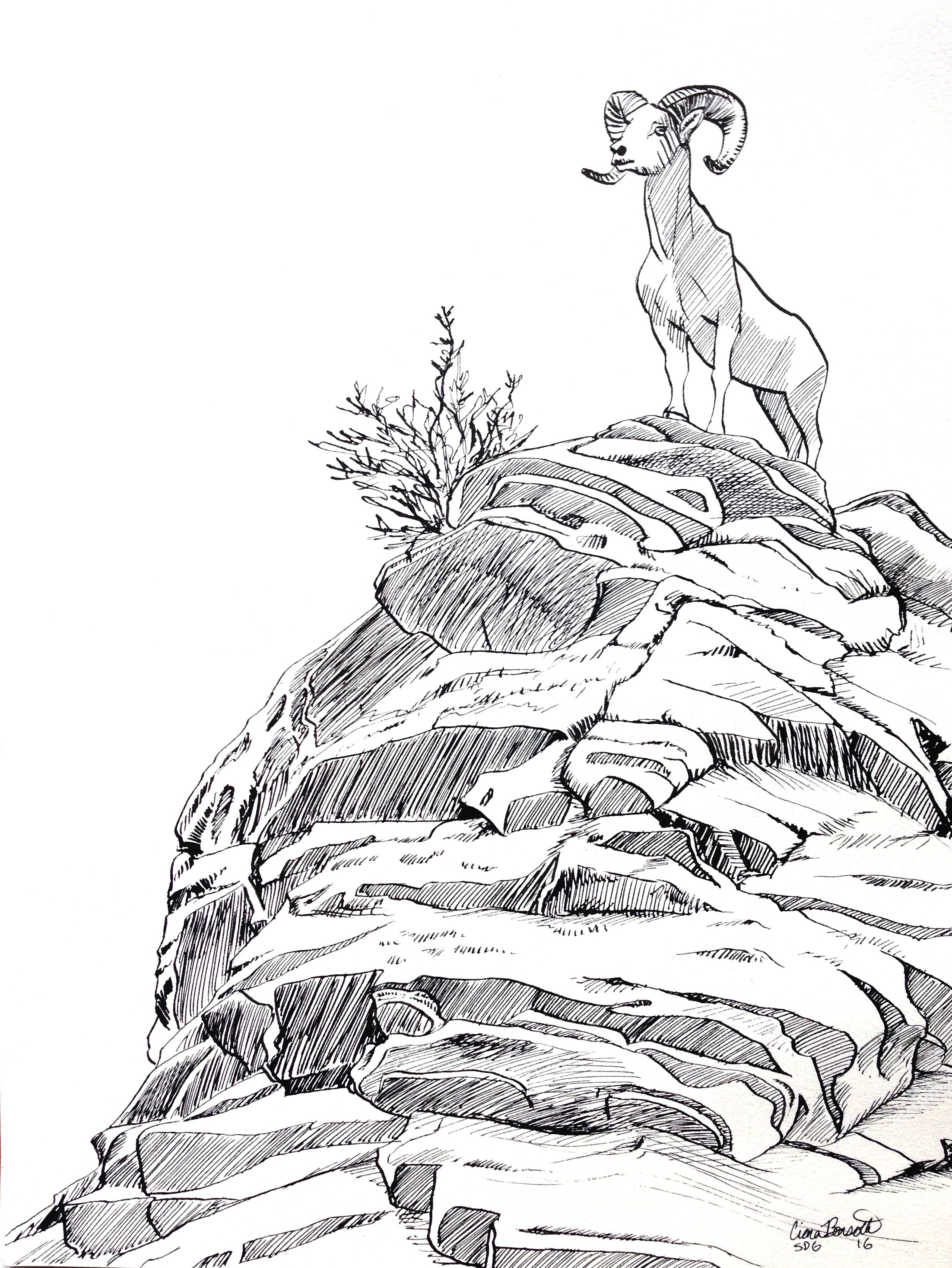 Day8_Rock.jpg