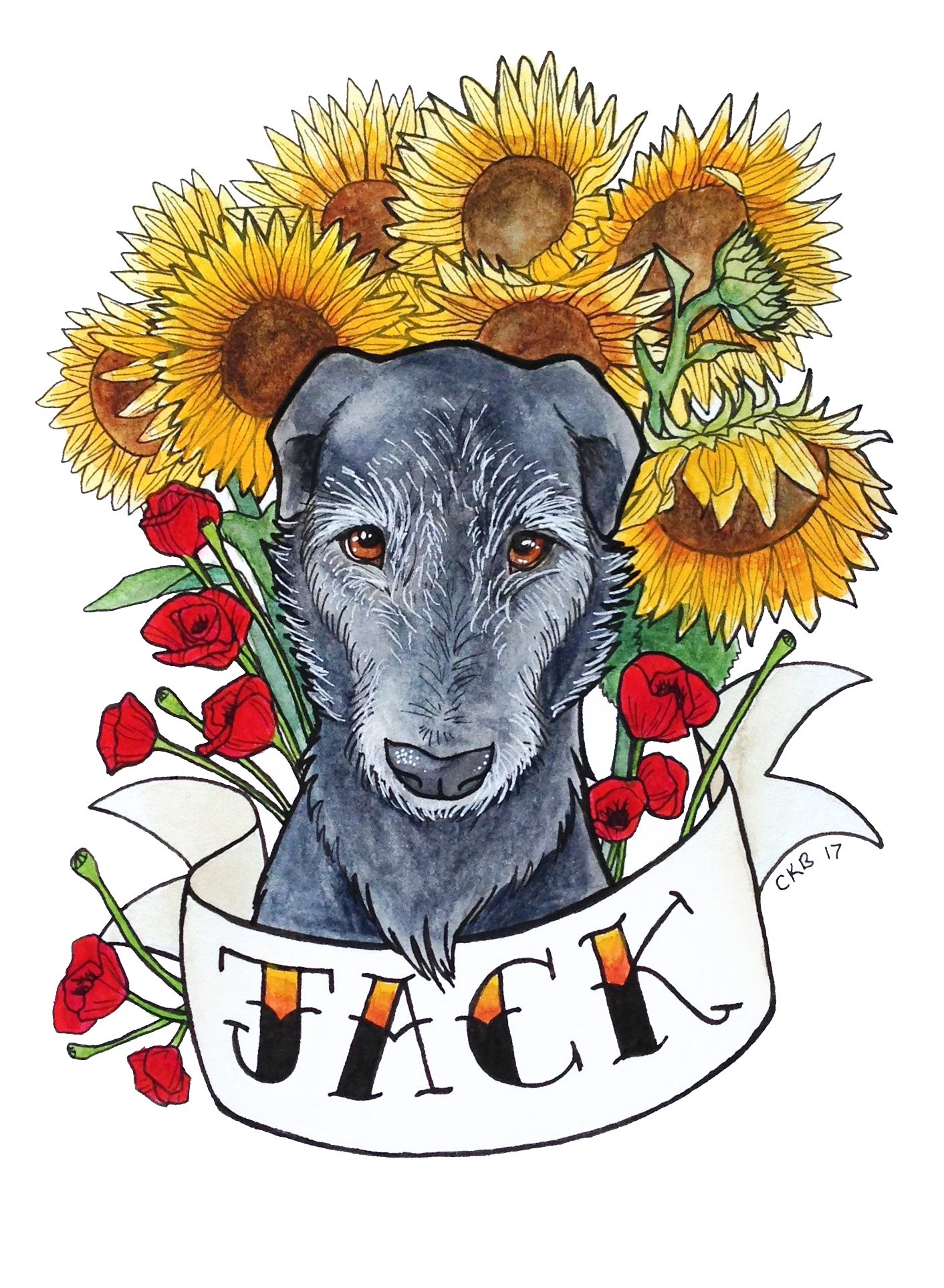 Jack.jpg