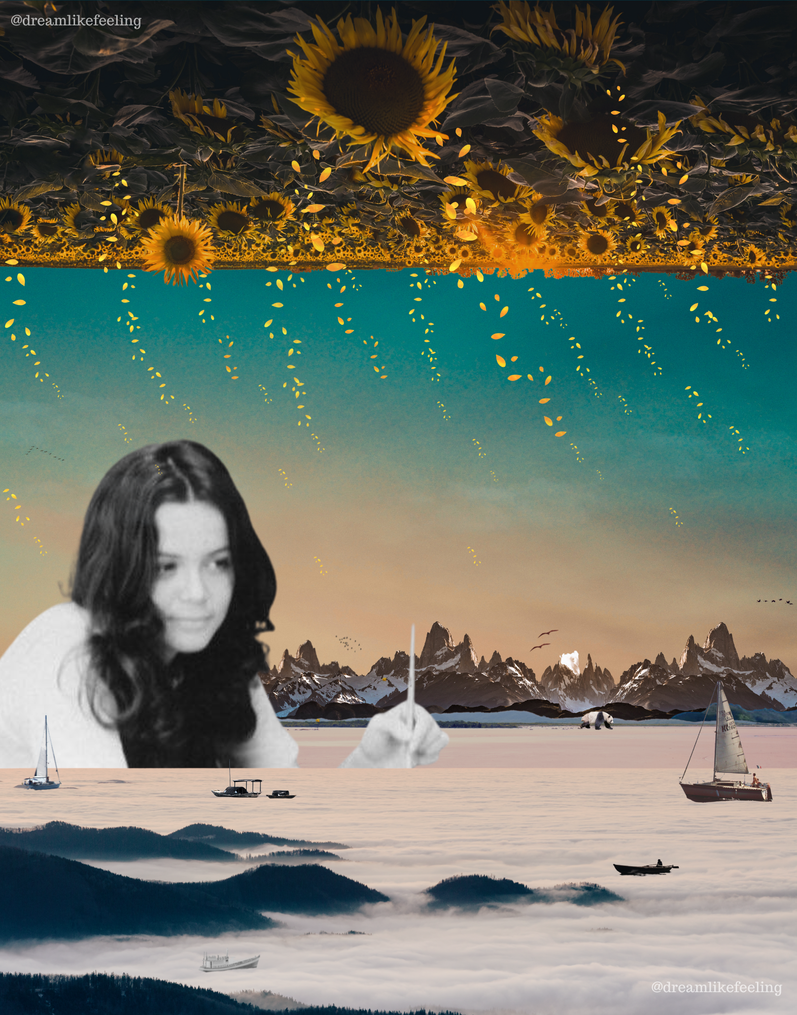 For Loso (1).png