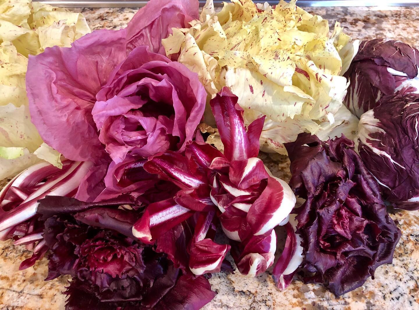 Stunning varieties of Radicchio. Doesn&rsquo;t this make you want to create a wonderful salad? Add some fennel, orange segments,  extra virgin olive oil and your favorite vinegar and its perfect! Buono! @stressfreecook #cookingwithcolor #cookingathom