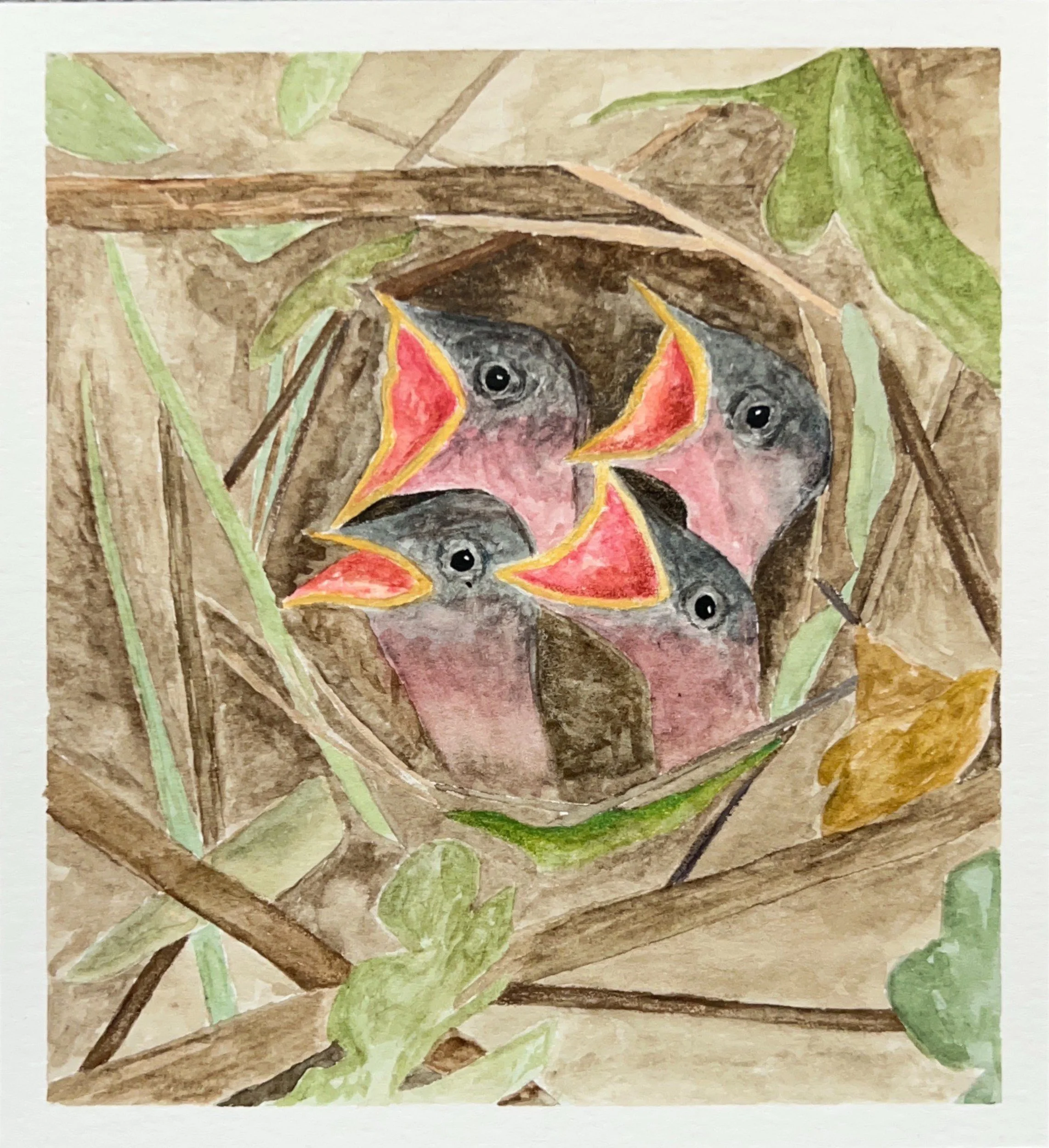 Baby Warblers, Watercolor on paper