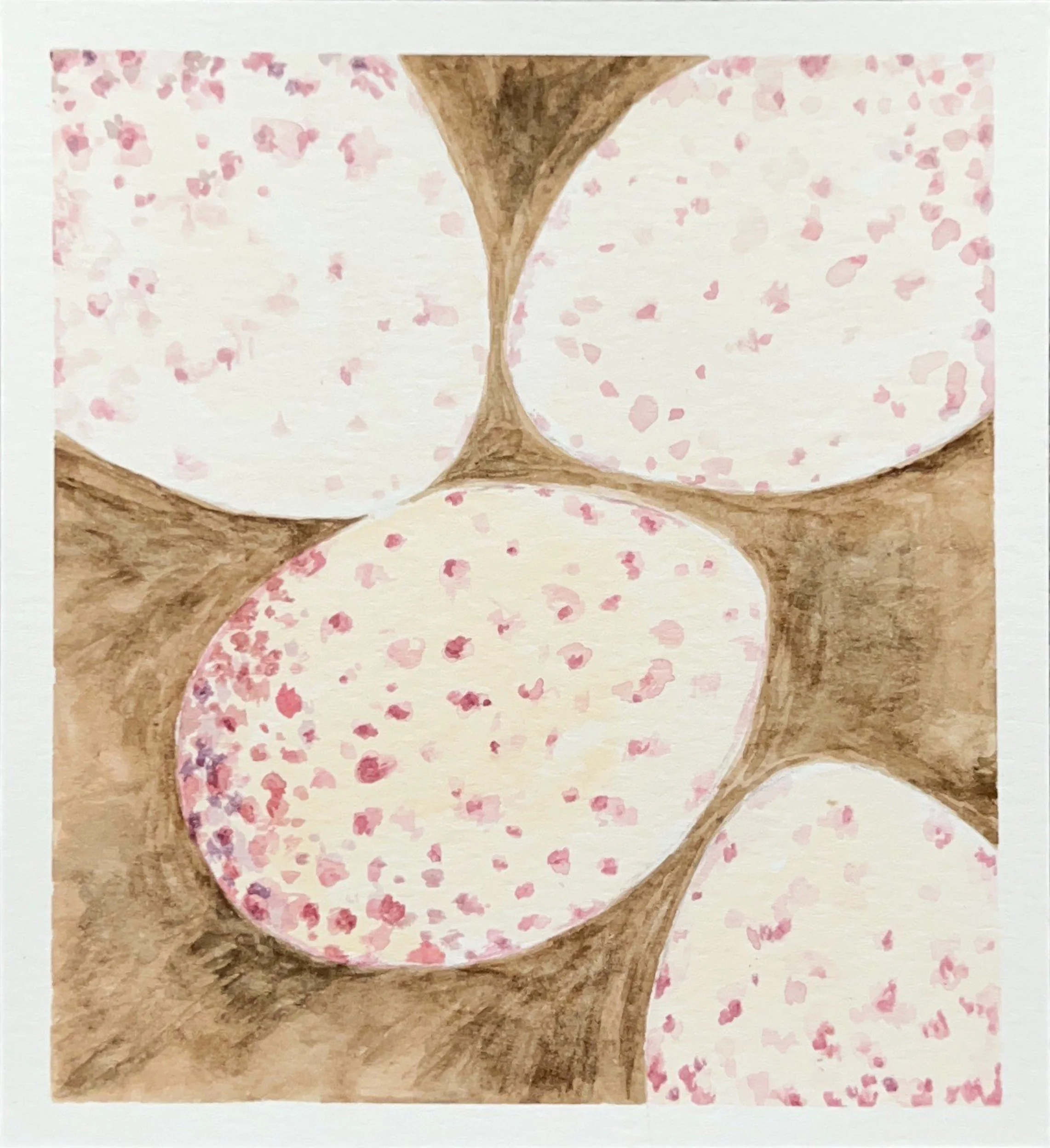 Warbler Eggs, Watercolor on paper