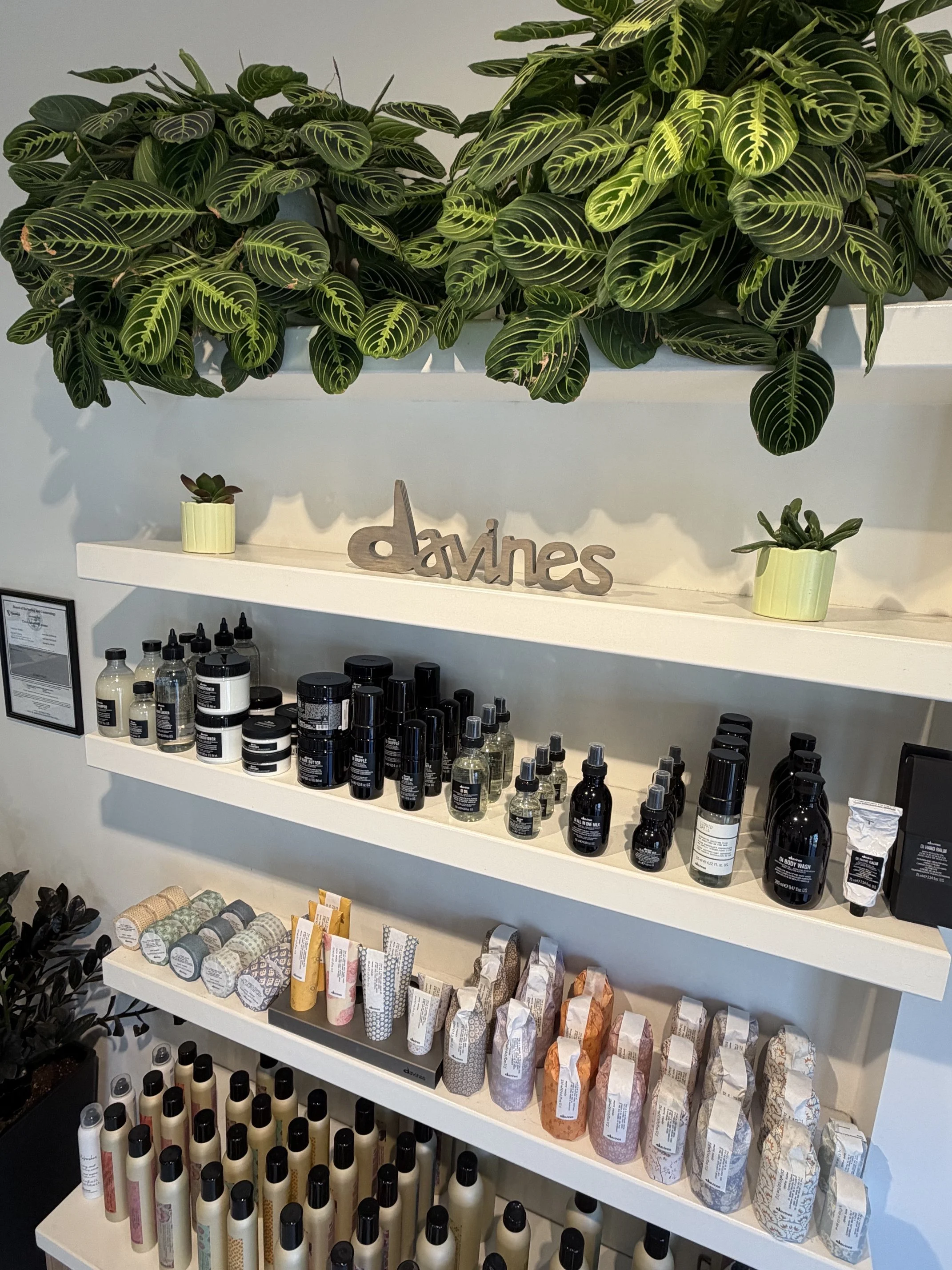 A display shelf with various skincare and beauty products, including bottles, jars, and tubes, arranged on four shelves. Large green leafy plants are hung above the shelf, and there is a wooden sign spelling 'davines' on the top shelf.