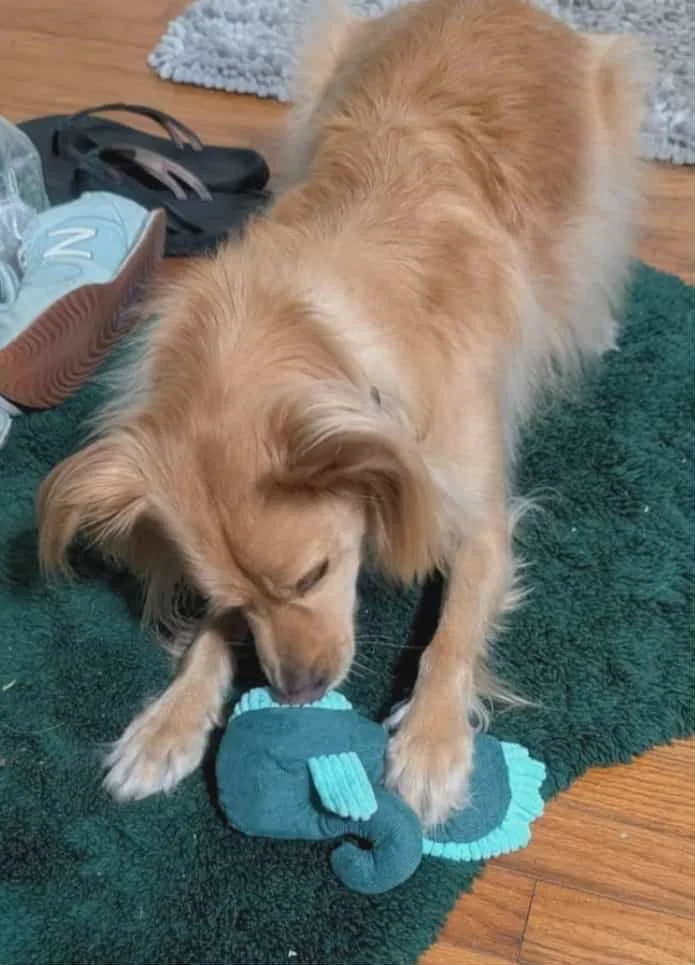 89b3482d-1cd4-48fd-8d95-751997400e3f.jfif